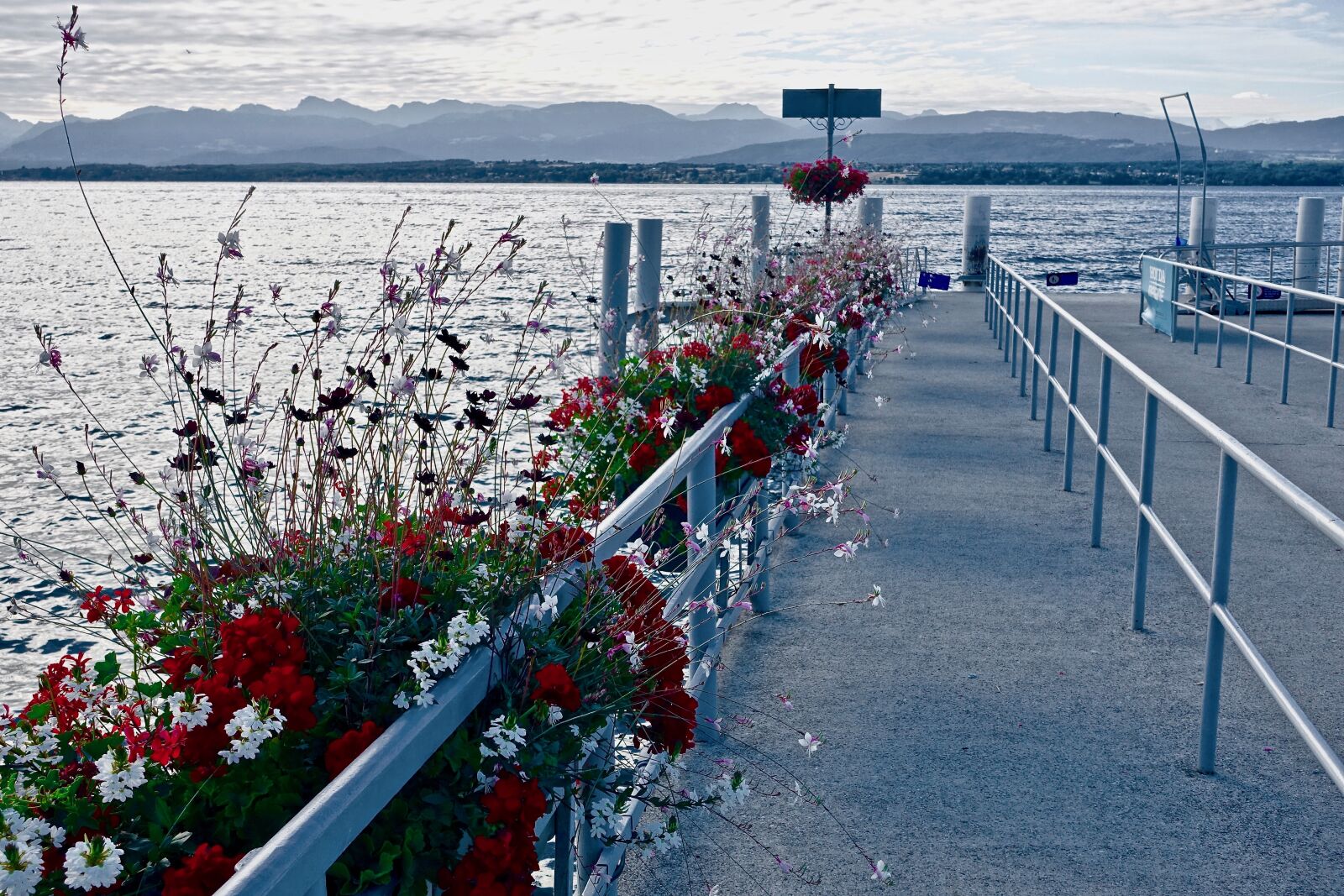 Sony Cyber-shot DSC-RX100 III sample photo. Pier, jetty, flowers photography