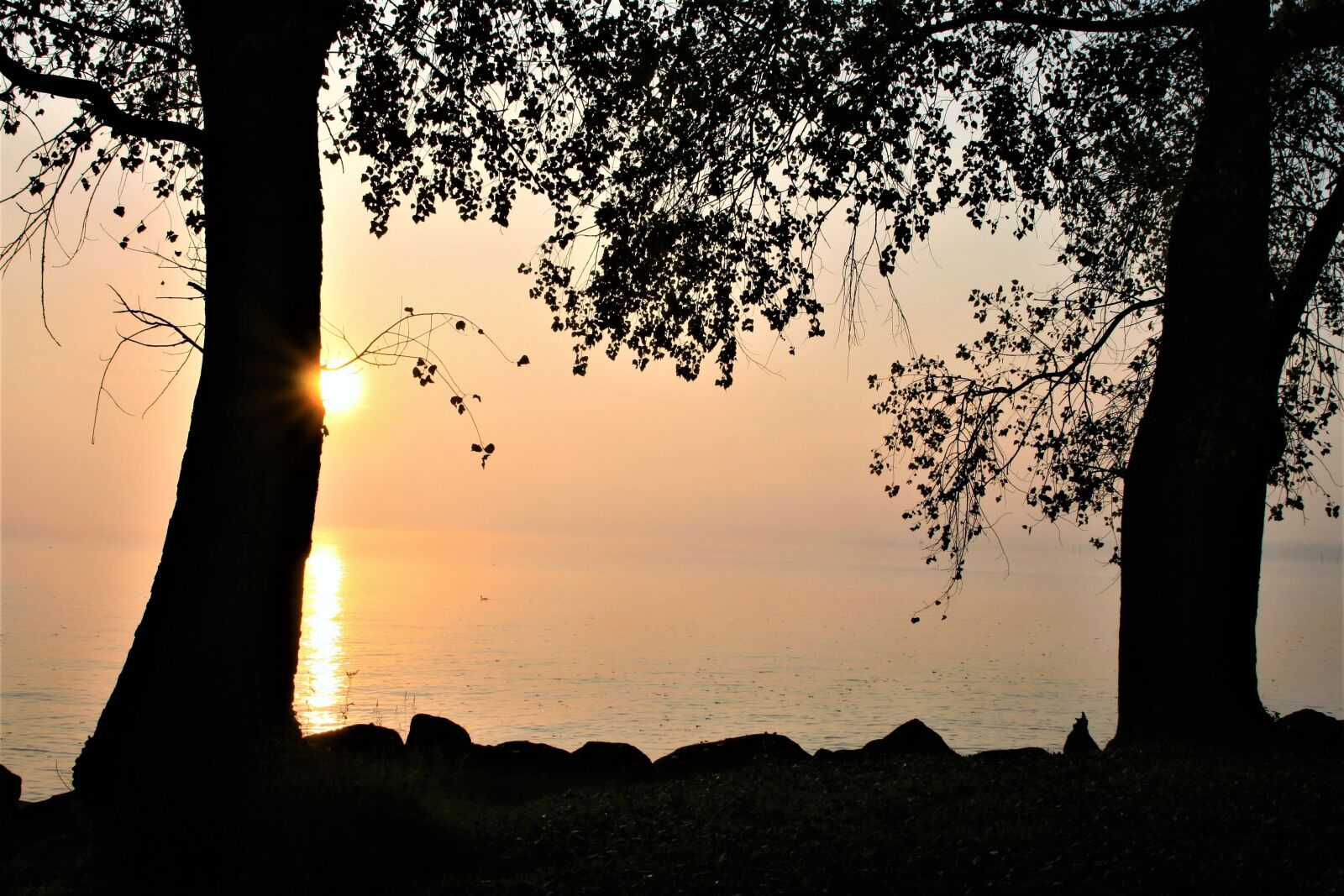 Canon EOS 400D (EOS Digital Rebel XTi / EOS Kiss Digital X) sample photo. Beach, lake, bodensee photography