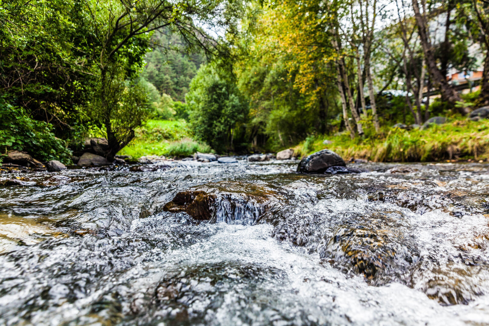 Canon EOS 5D Mark II + Canon EF 24-70mm F2.8L II USM sample photo. Creek, environment, fall, flow photography