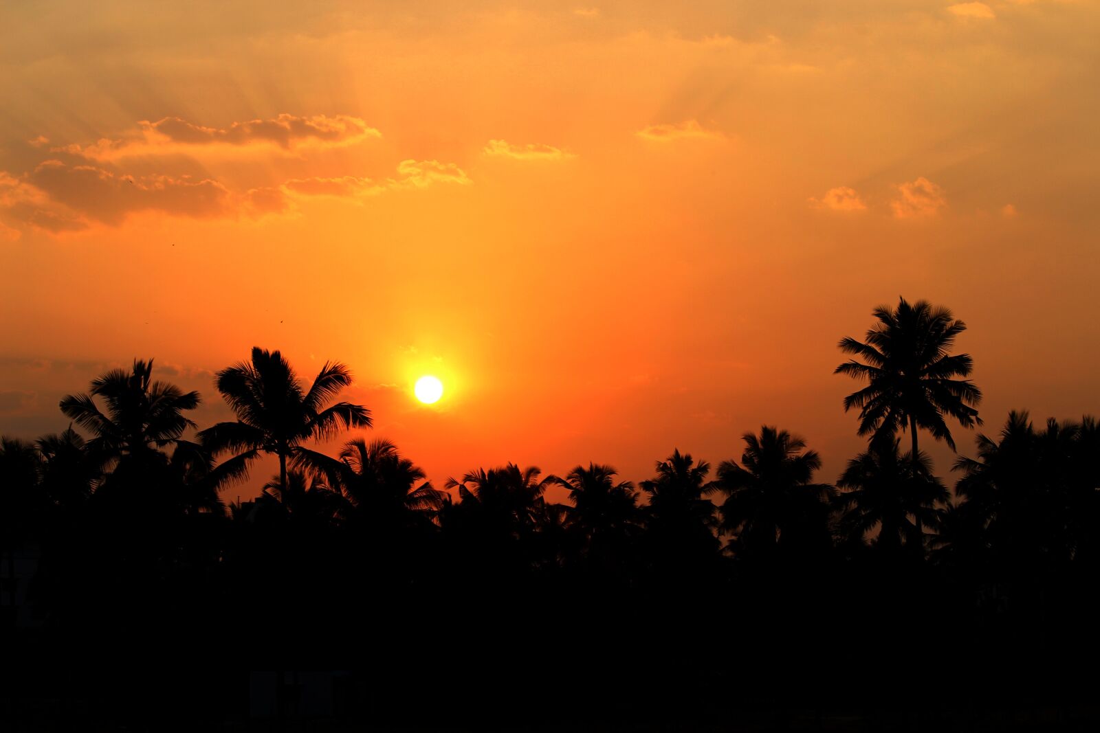 Canon EOS 700D (EOS Rebel T5i / EOS Kiss X7i) sample photo. Sunset, tourism, trip photography