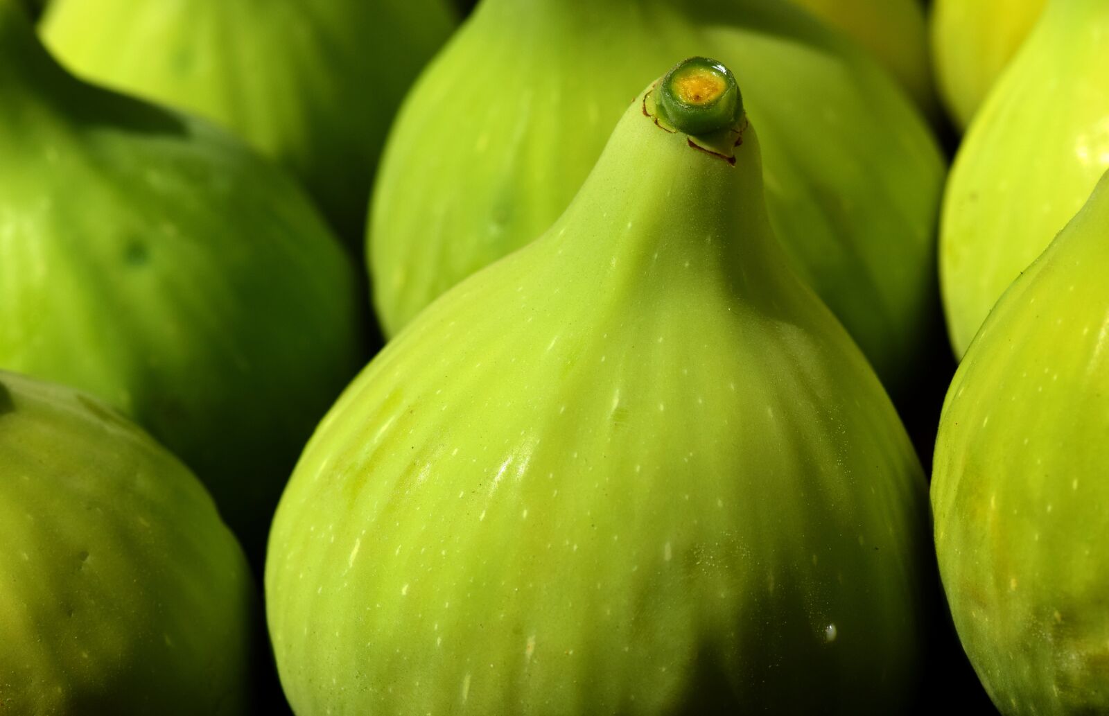 Nikon D3300 sample photo. Figs, green figs, green photography