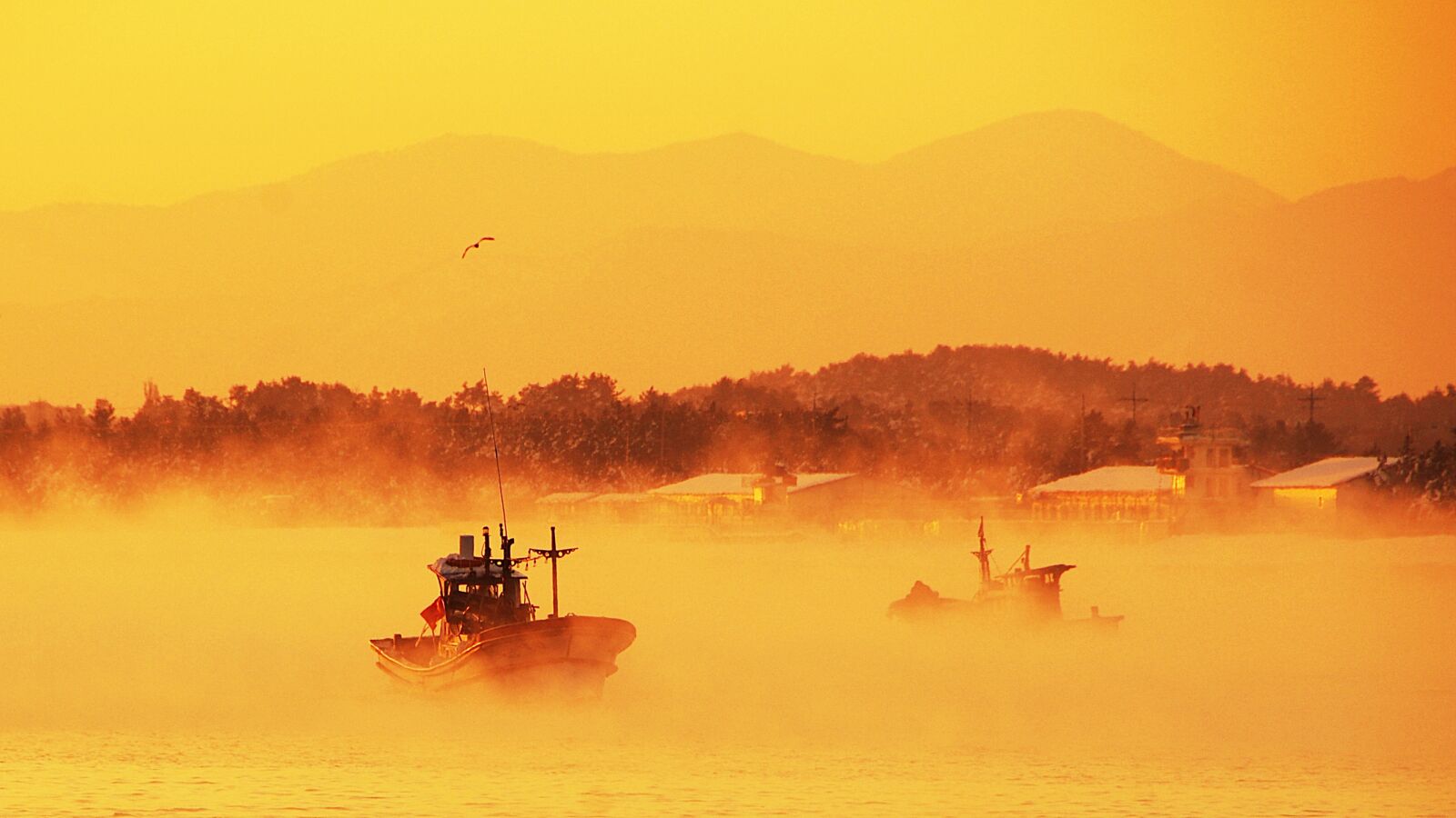Nikon D2Xs sample photo. Sunrise, dawn, sun mu photography