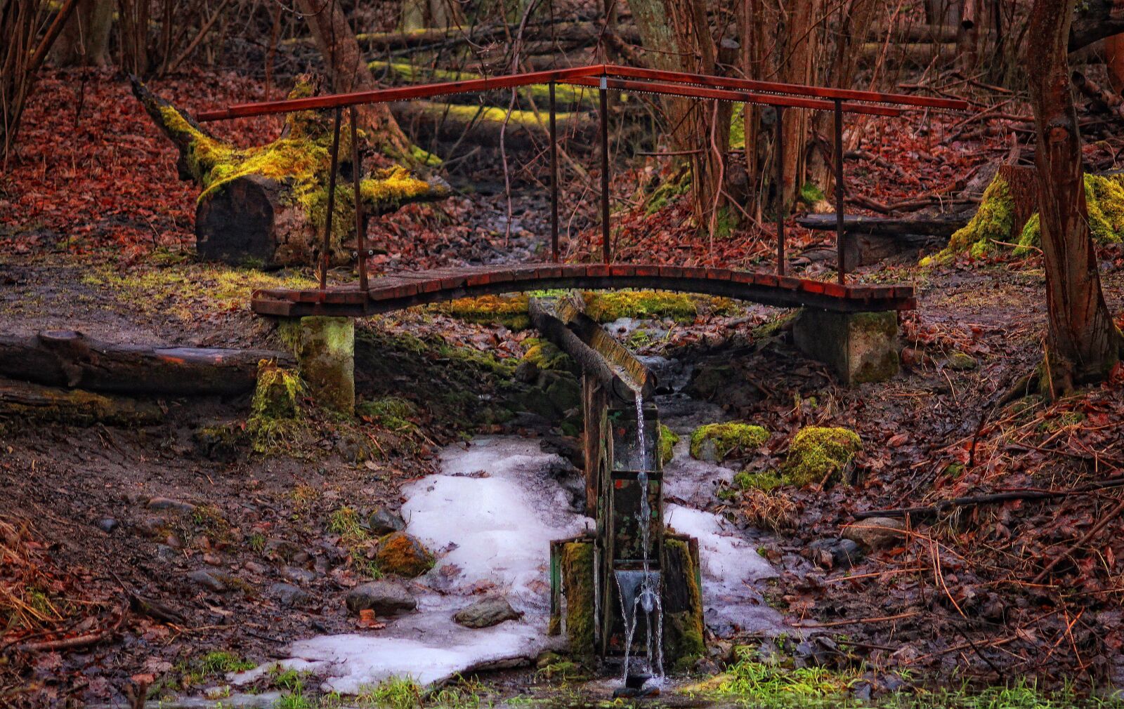 Canon EOS 50D sample photo. Bridge, wooden bridge, the photography