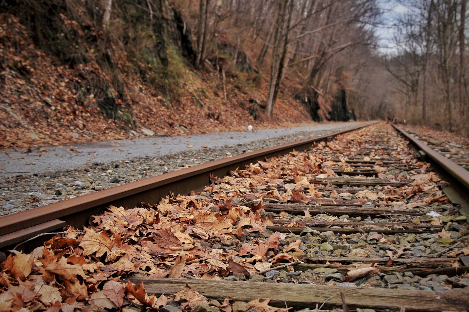 Canon EOS 100D (EOS Rebel SL1 / EOS Kiss X7) sample photo. Railroad track, railway, guidance photography