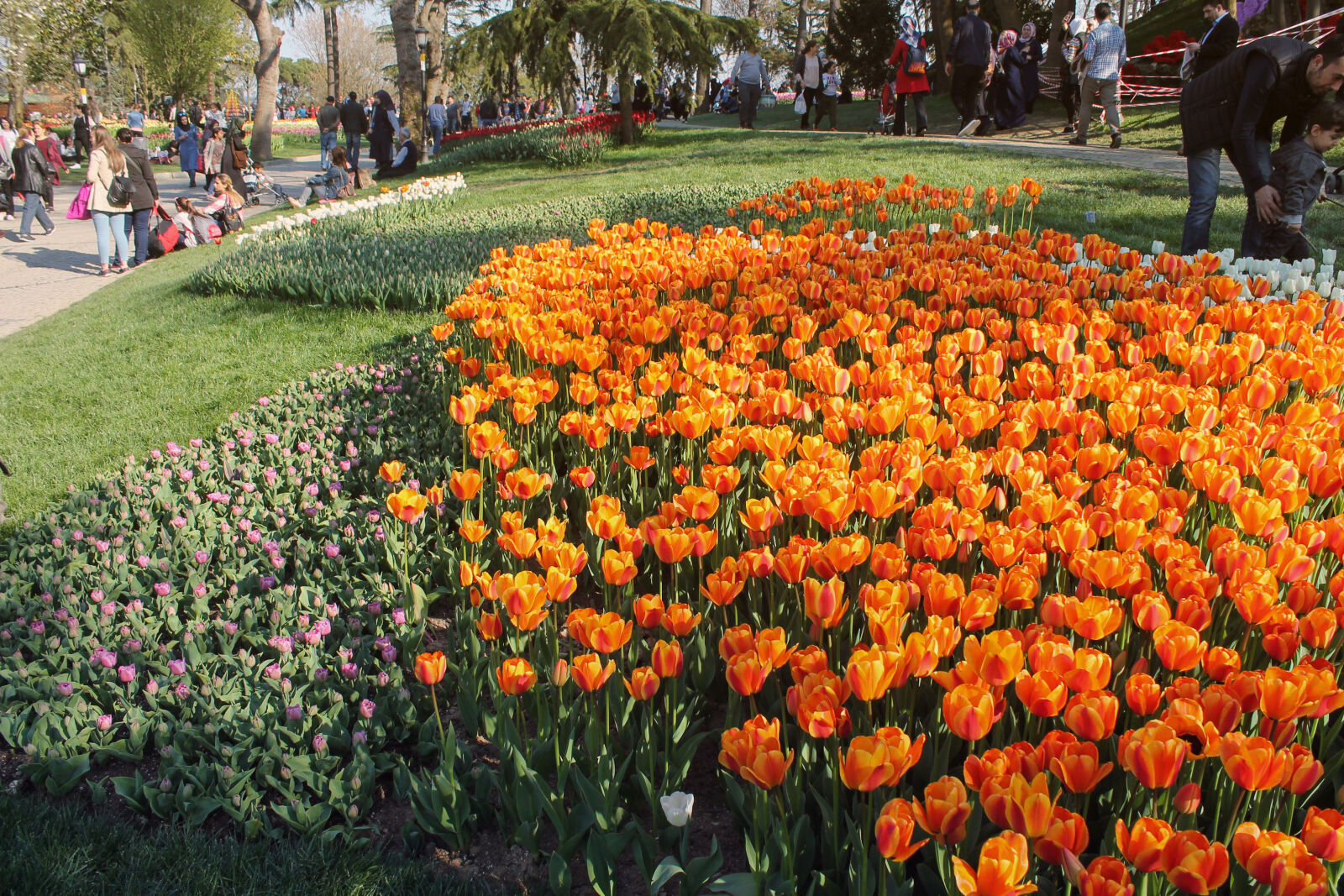 Canon EOS 1100D (EOS Rebel T3 / EOS Kiss X50) sample photo. 2017, flowers, happy, istanbul photography