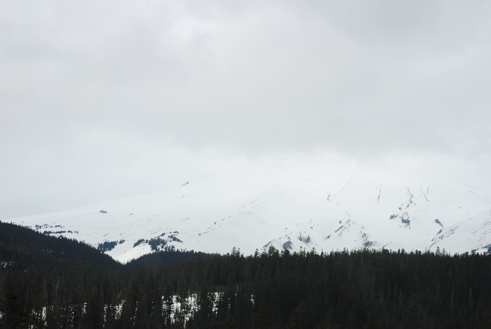 Nikon D3000 sample photo. Winter, portland, oregon photography
