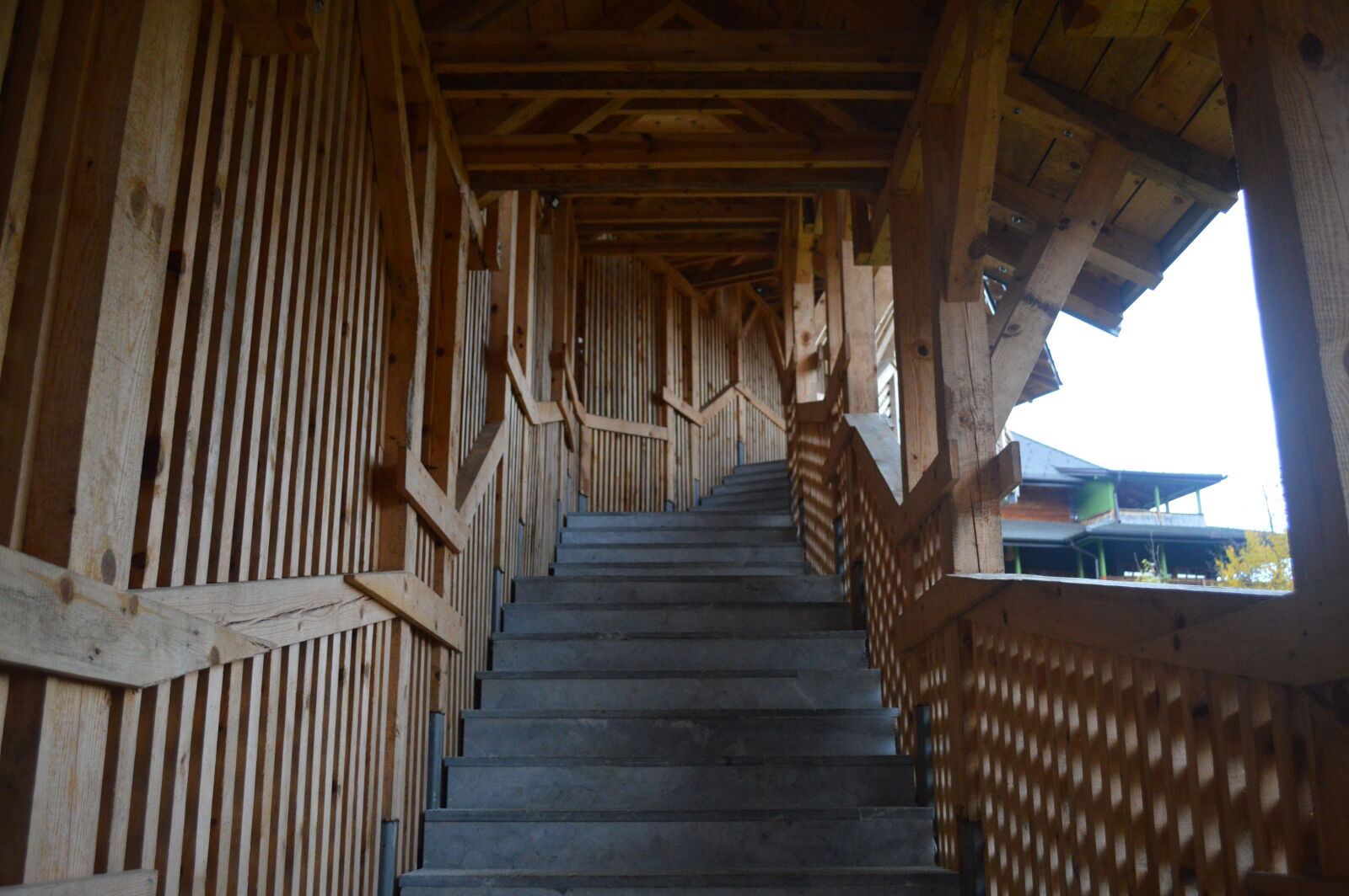 Nikon D3200 sample photo