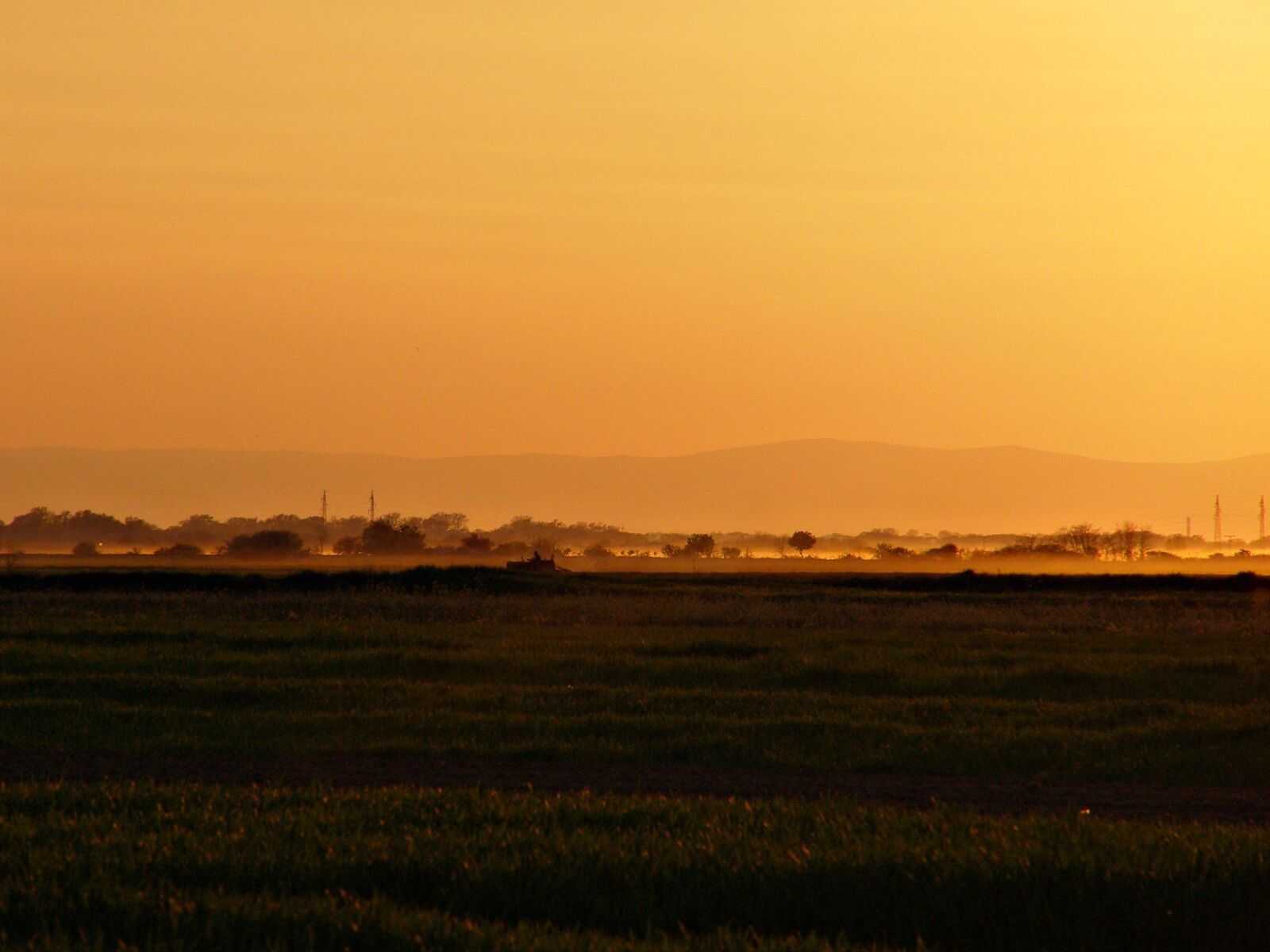 Olympus SP500UZ sample photo. Nature, sunset, field photography