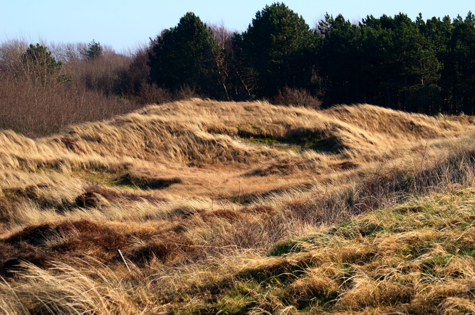 Nikon D5100 sample photo. North sea, nordfriesland, watts photography