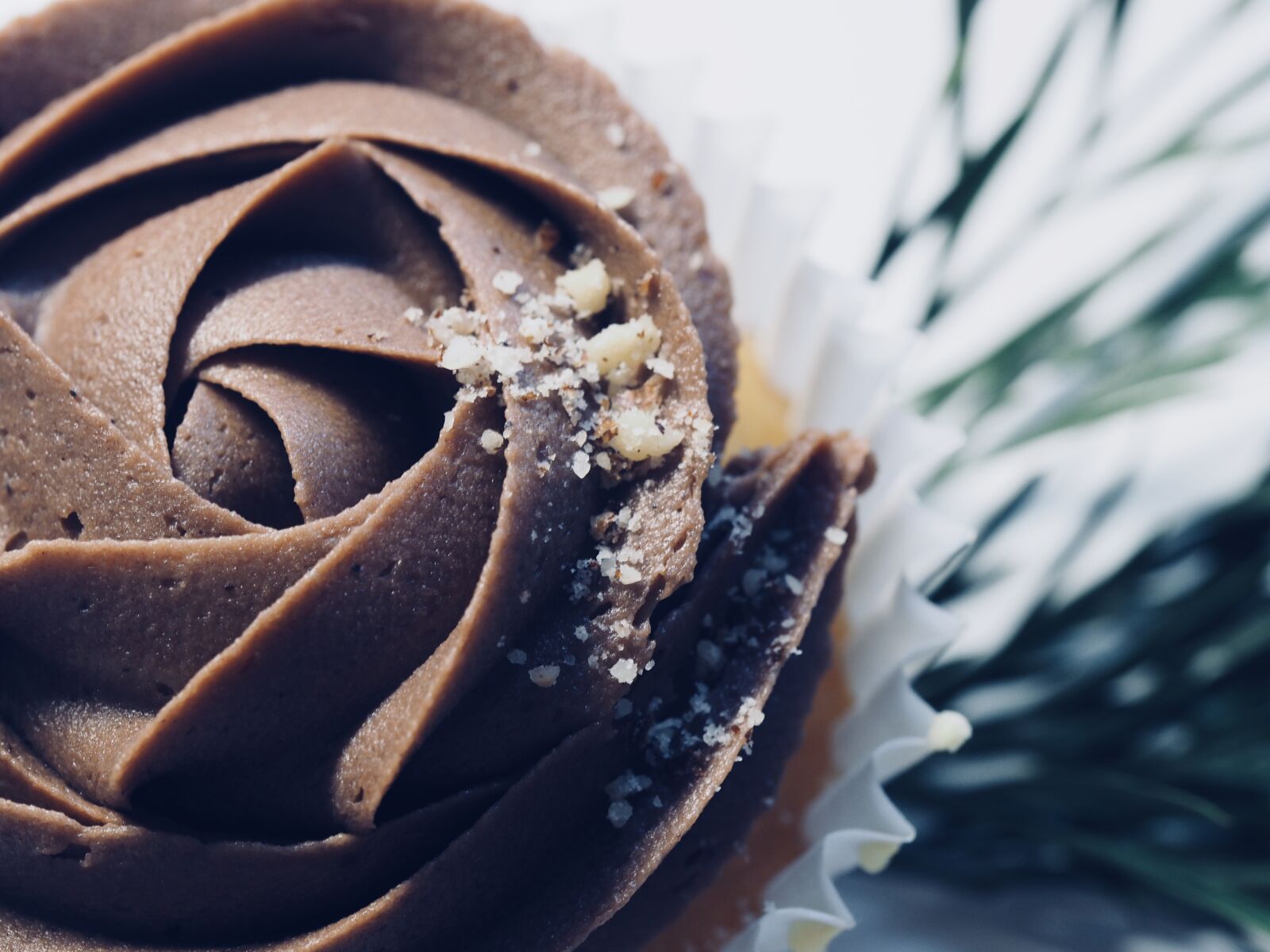 Olympus OM-D E-M10 II sample photo. Chocolate, cake, cupcake photography