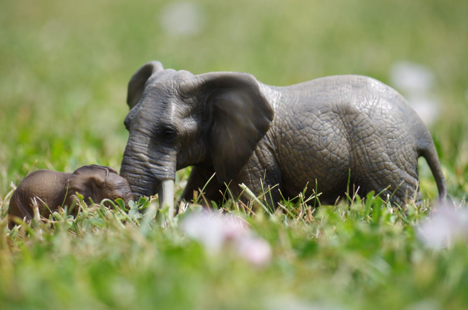 Pentax K-500 sample photo. Elephants, toys, grass photography