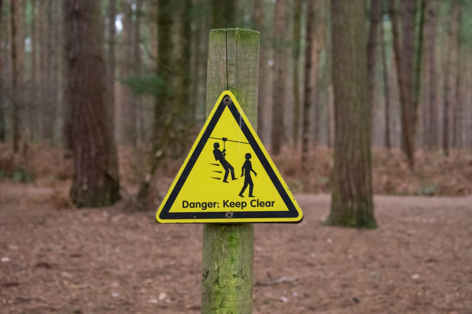 Nikon D3400 sample photo. Road, wood, warning photography