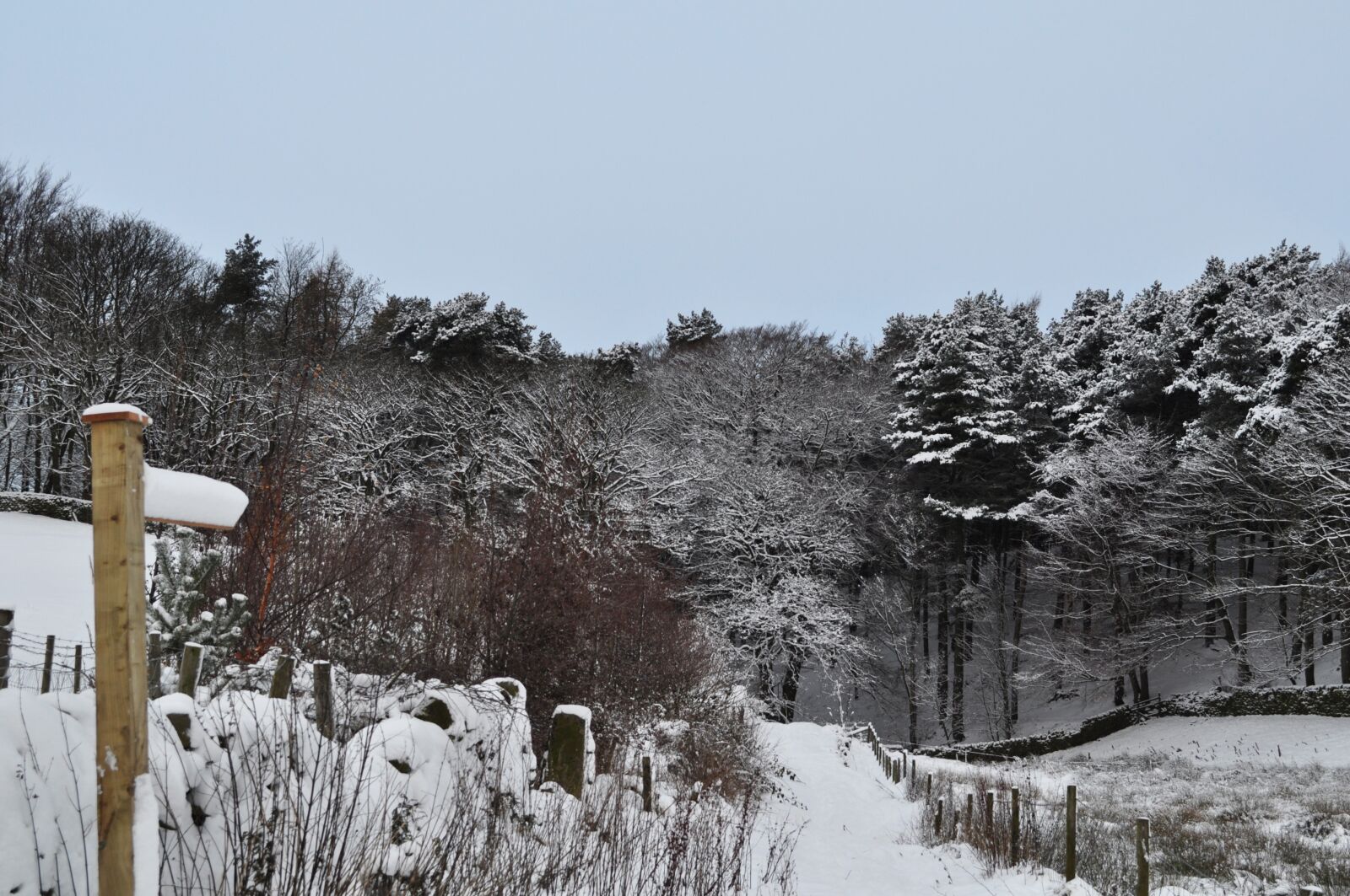 Nikon D5000 sample photo. Snow, countryside, landscape photography