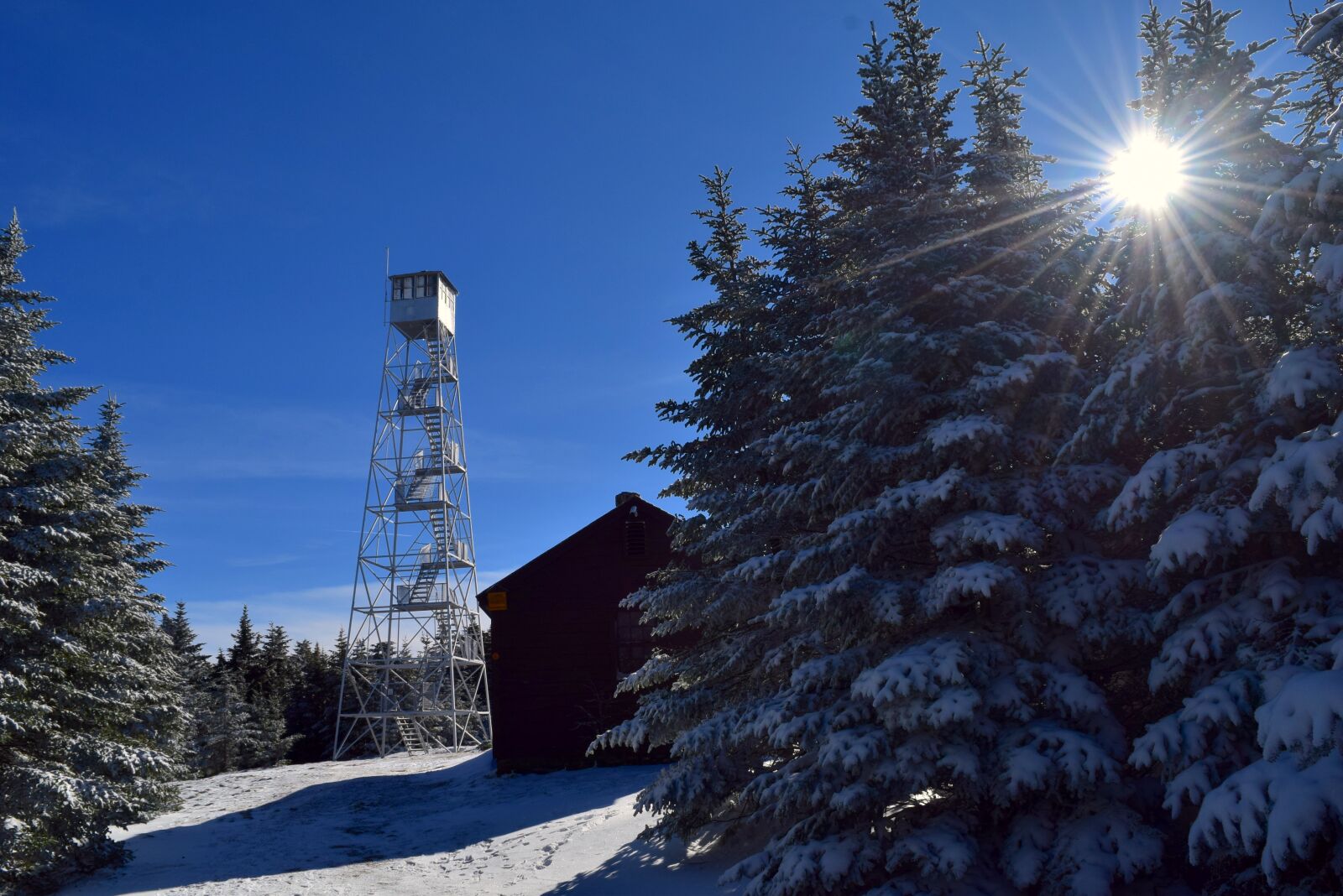 Nikon D3300 sample photo. Winter, snow, cold photography
