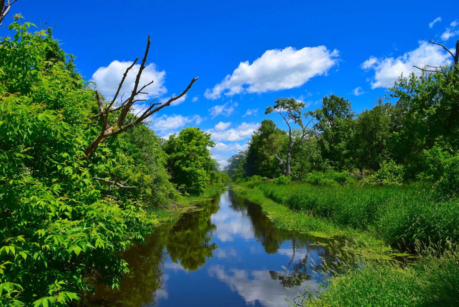 Nikon D3300 sample photo. River, clouds, sky photography