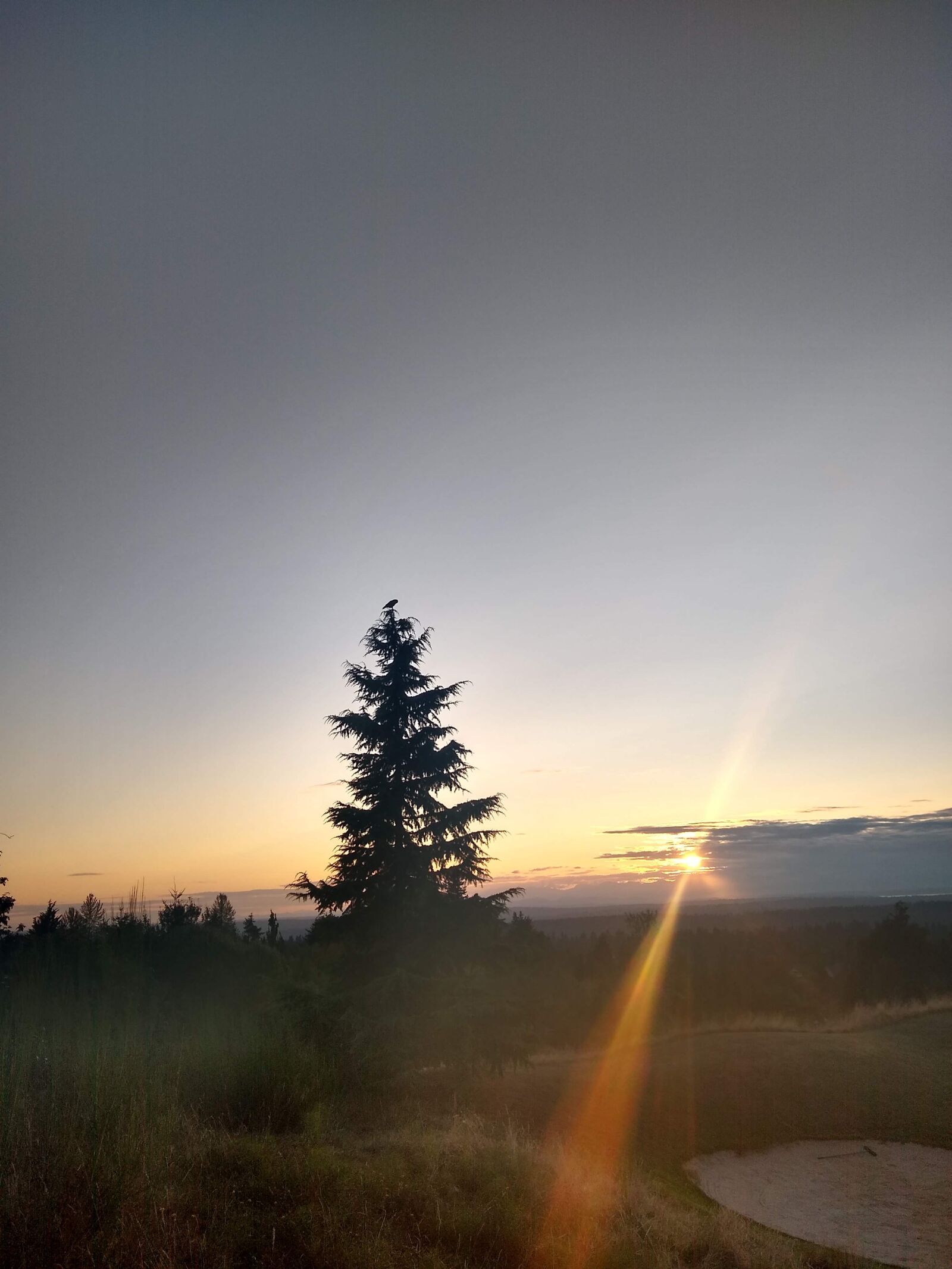 Motorola moto g(8) plus sample photo. Nature, tree, sunset photography