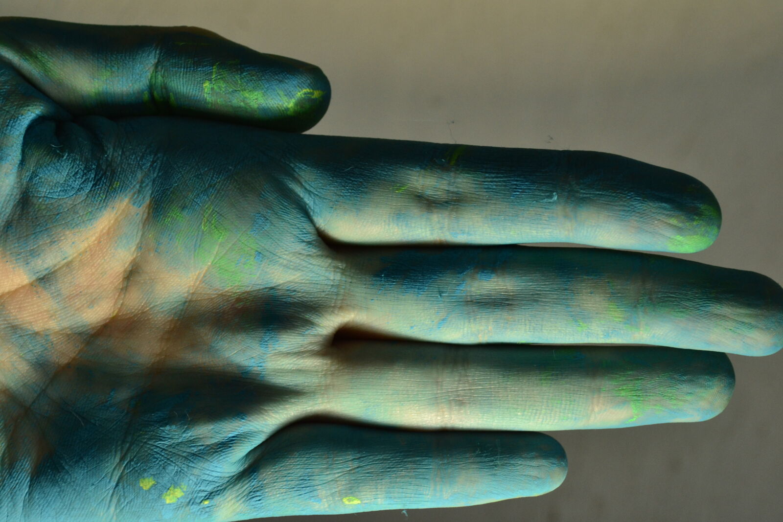 Nikon D3100 sample photo. Hand, paint photography