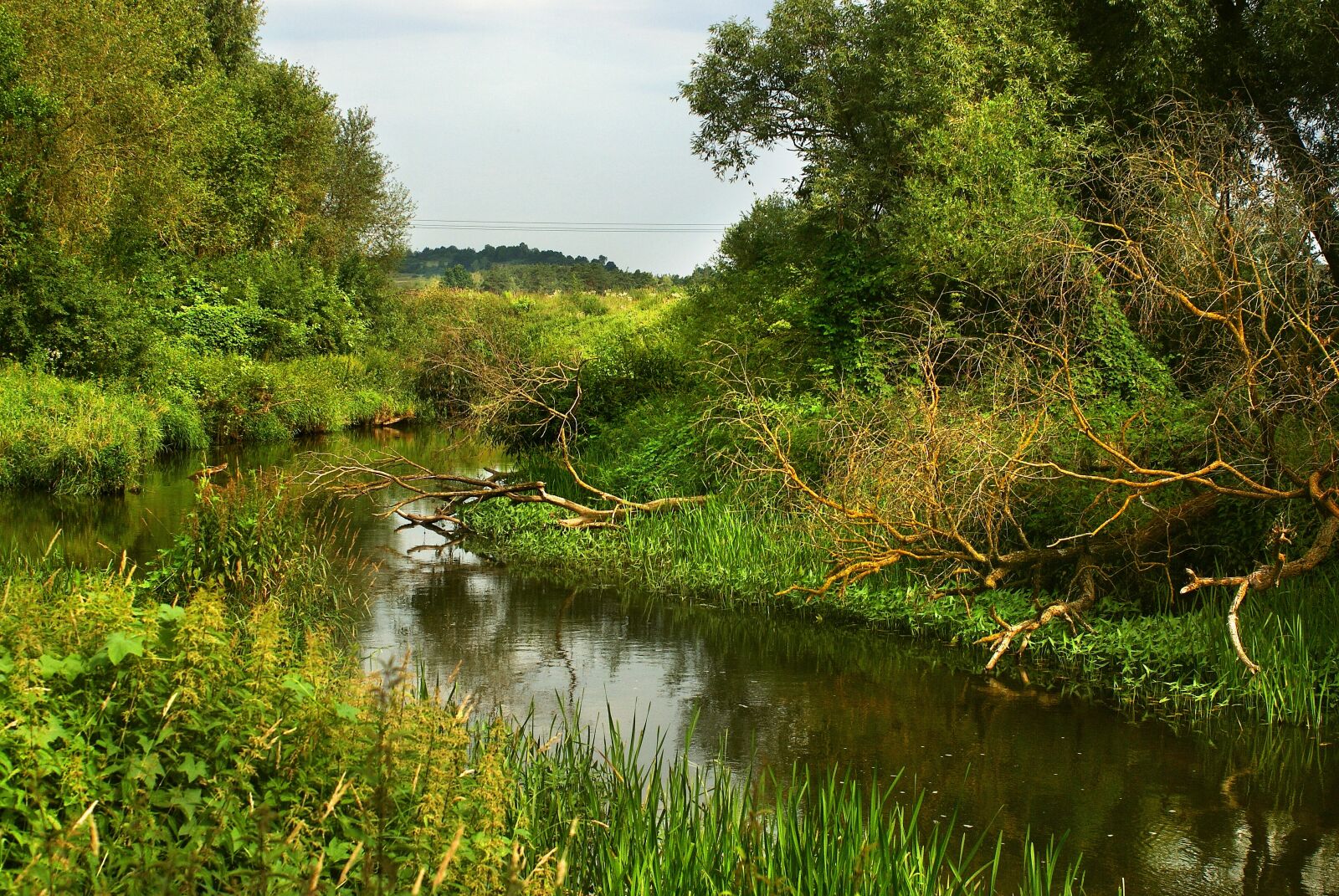 Sony Alpha DSLR-A200 sample photo. Author, skibka, photo photography