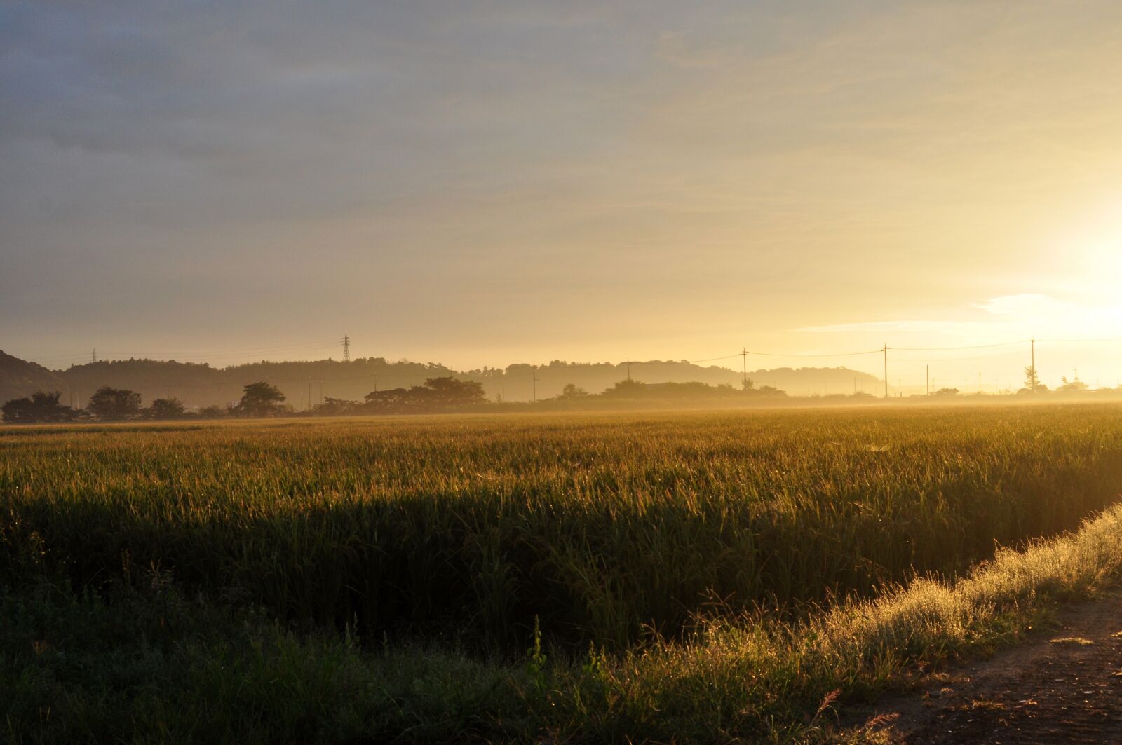 Nikon D90 sample photo. Dawn, asahi, countryside photography