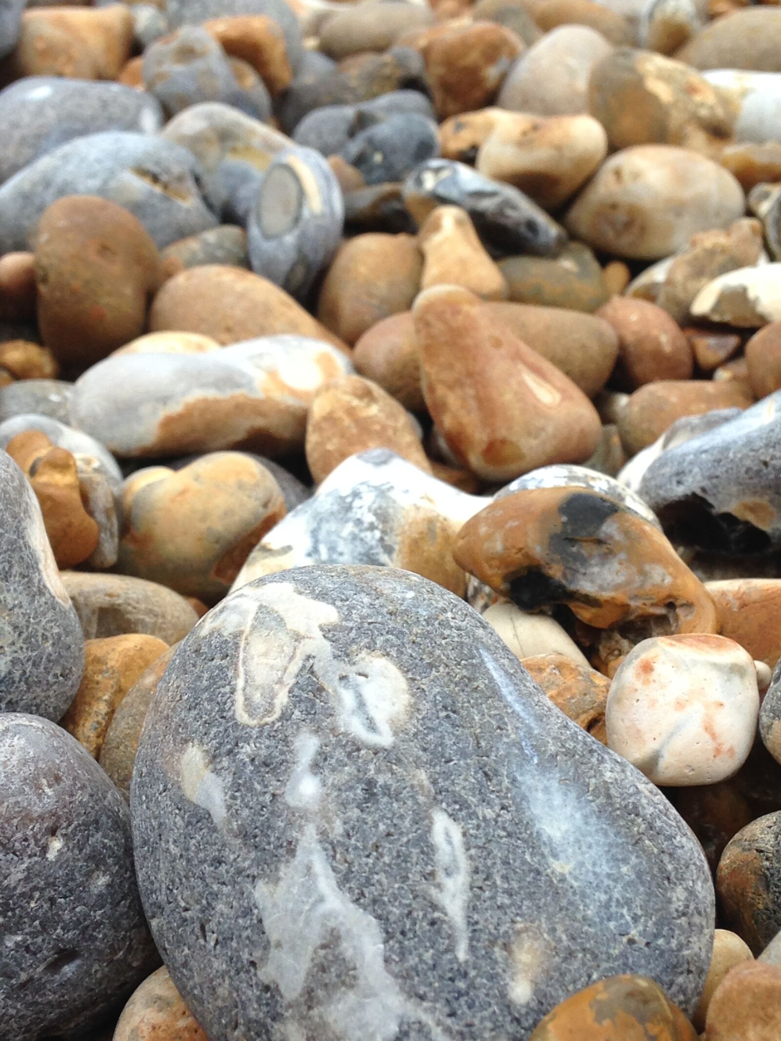iPhone 5c back camera 4.12mm f/2.4 sample photo. Pebbles, stones, rocks photography