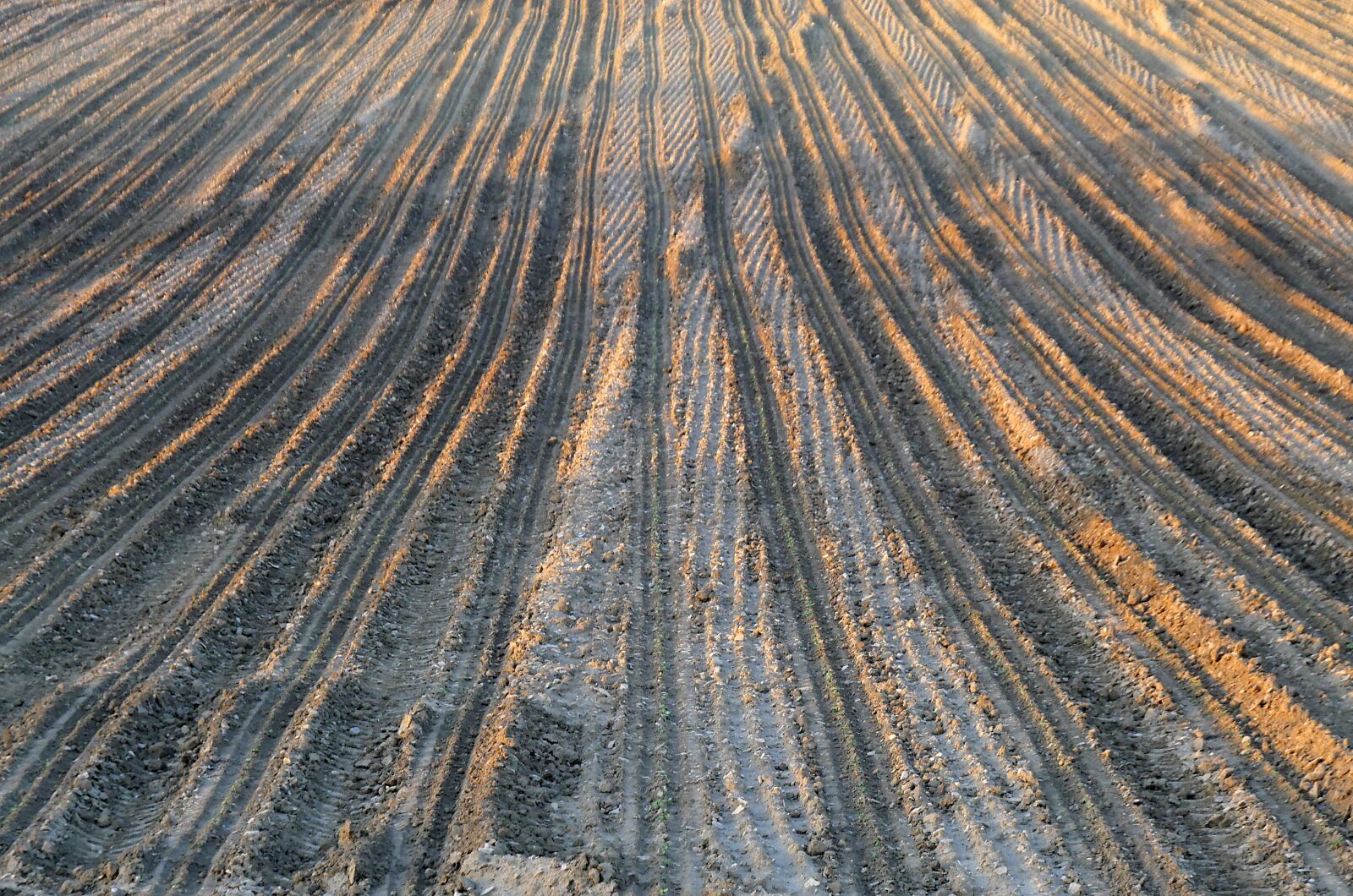 Panasonic Lumix DMC-GX8 sample photo. Field, traces, soil photography