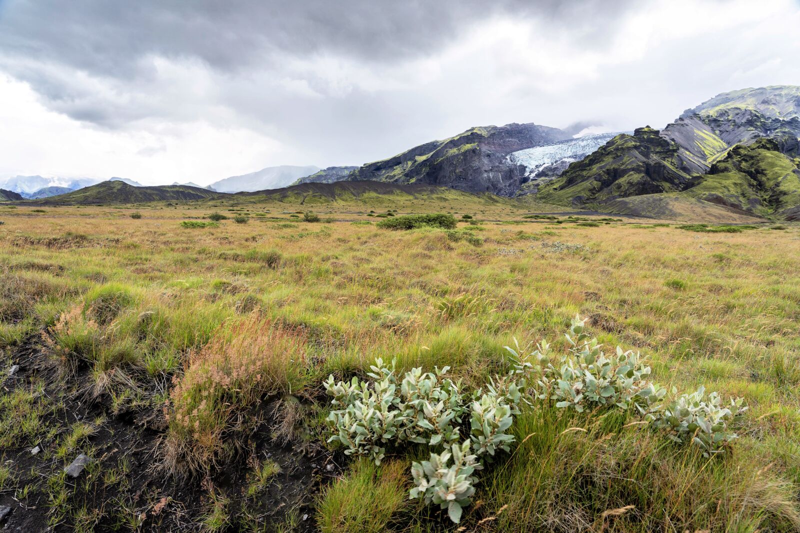 Sony a7 II + Sony FE 24-105mm F4 G OSS sample photo. Iceland, landscape, nature photography