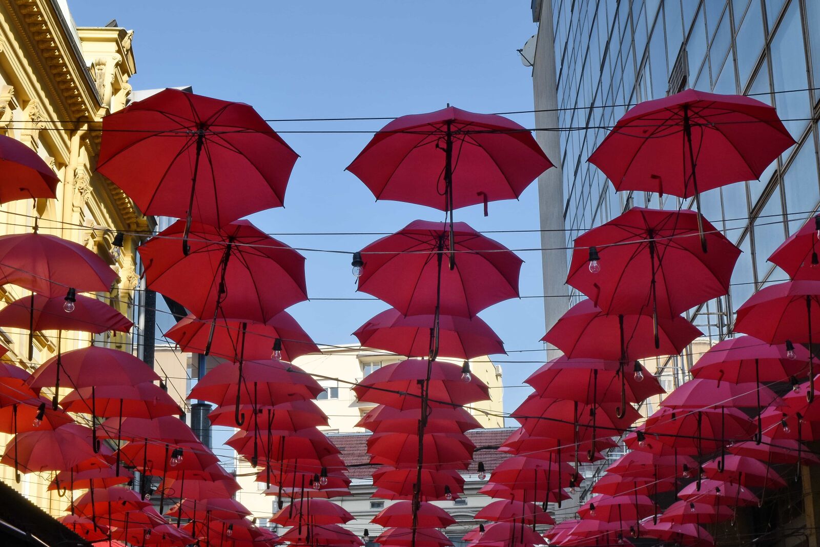 Nikon D5500 sample photo. Umbrella, color, outdoors, city photography