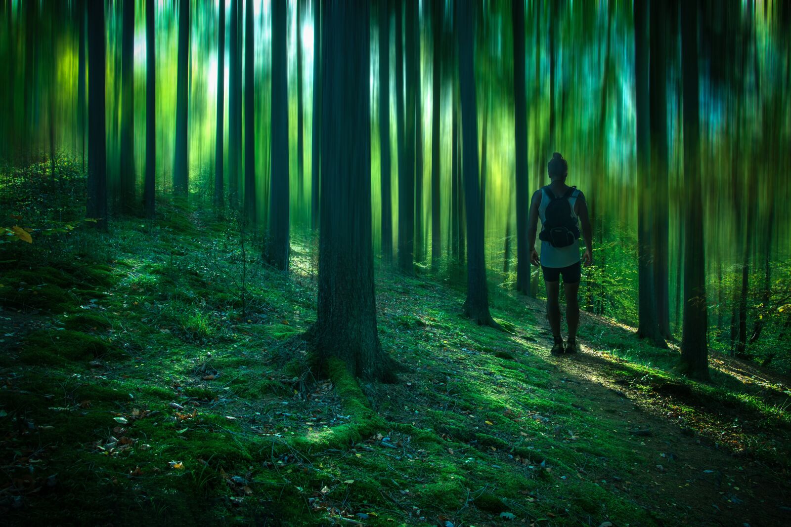 Nikon D5300 sample photo. Forest, hiking, nature photography