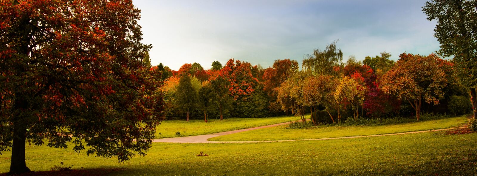 Nikon D7000 sample photo. Stuttgart, forest, garden photography
