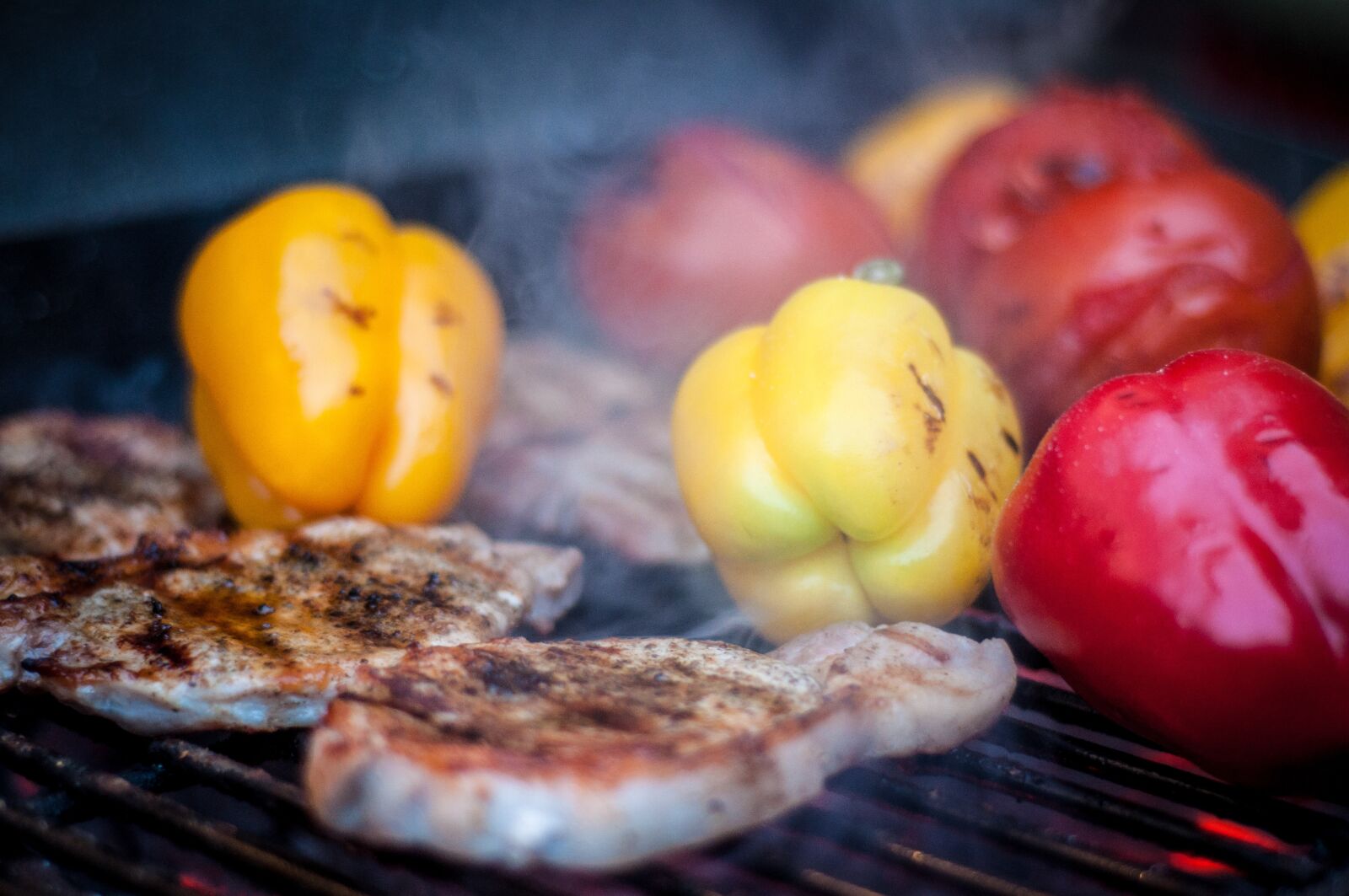 Nikon D90 sample photo. Barbecue, blur, close-up photography