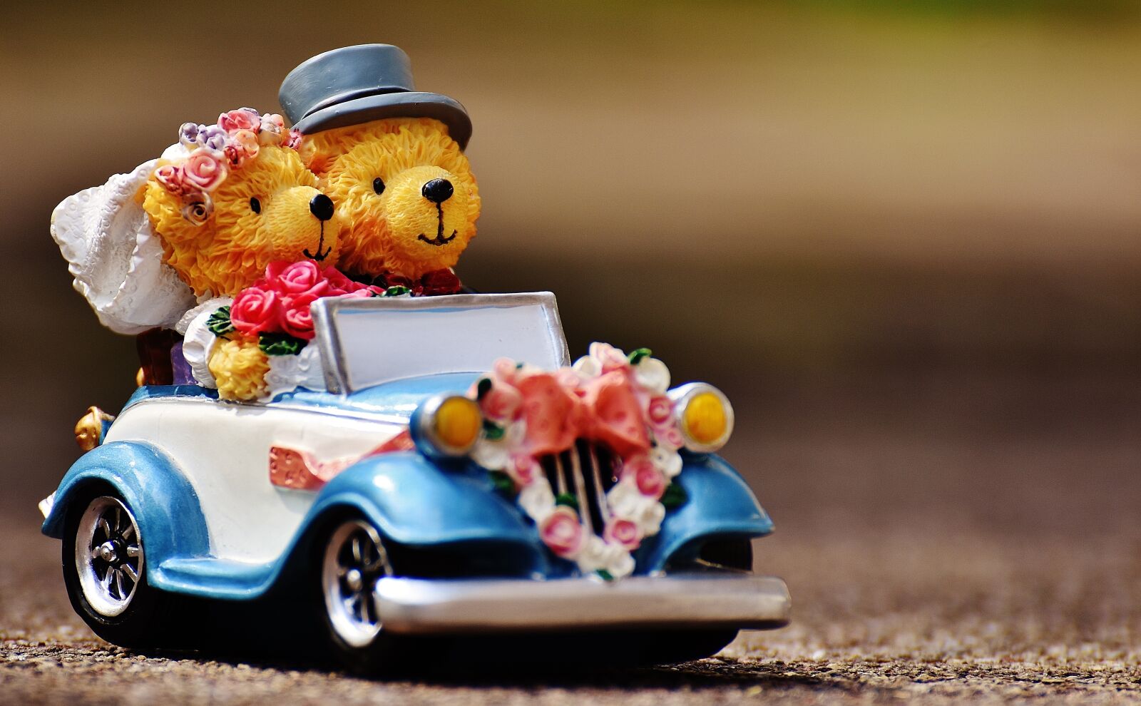 Nikon D7200 sample photo. Wedding, bear, figures photography