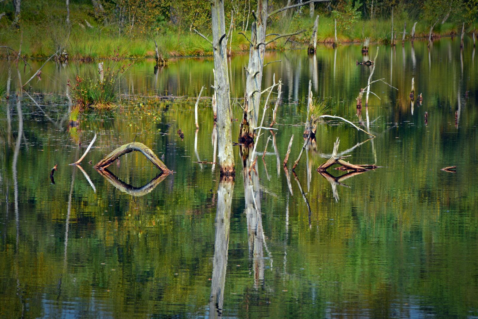 Nikon D5200 sample photo. Moor, mirroring, water photography