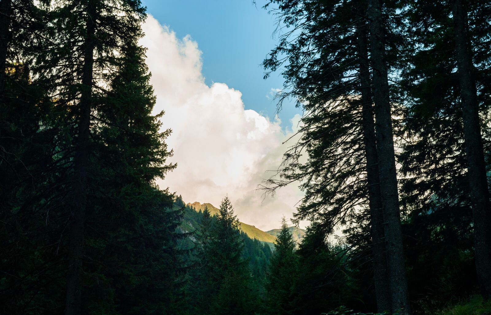Nikon D200 sample photo. Mountains, fagaras, romania photography