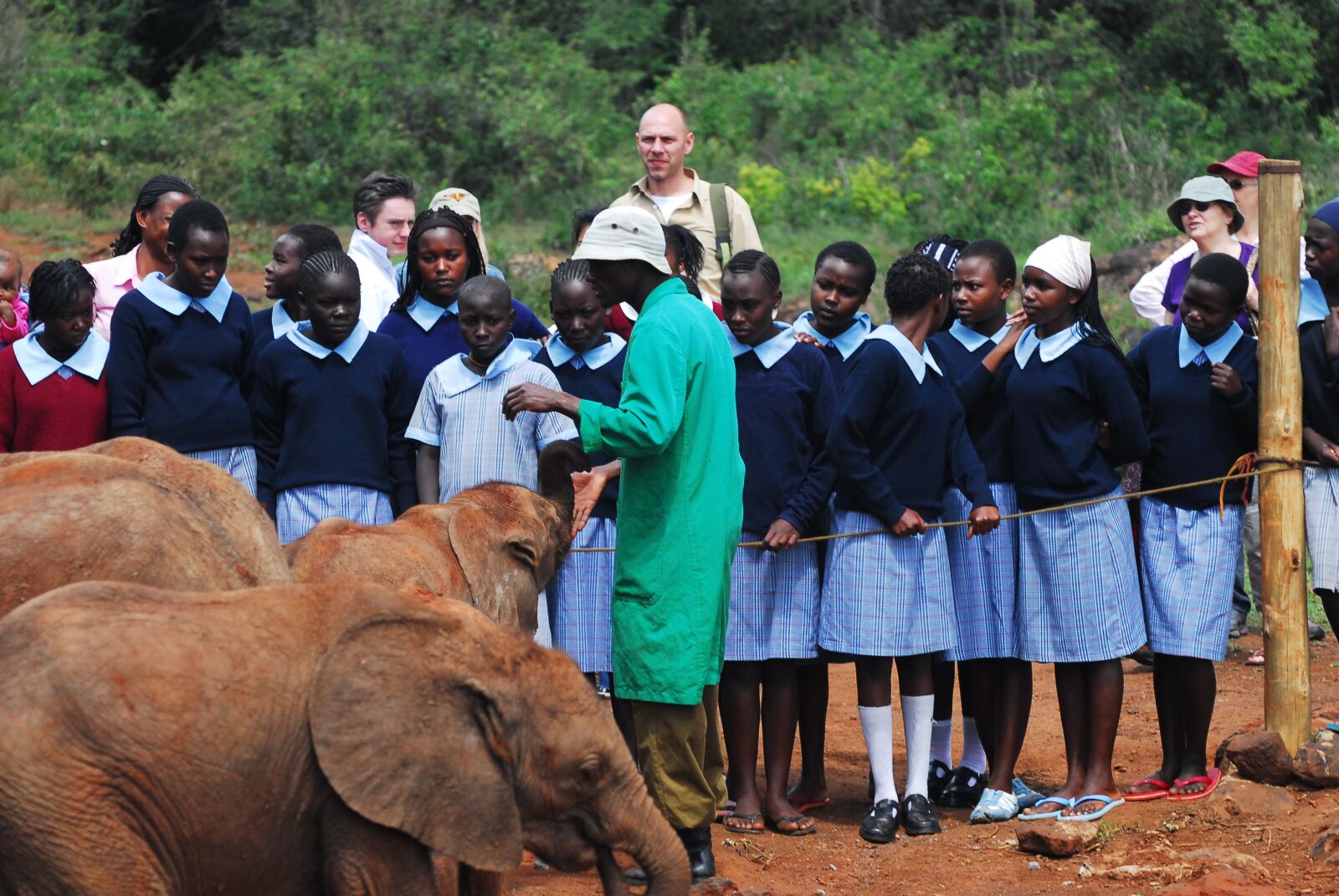 Nikon D200 sample photo. Feeding baby elephants, bottle photography