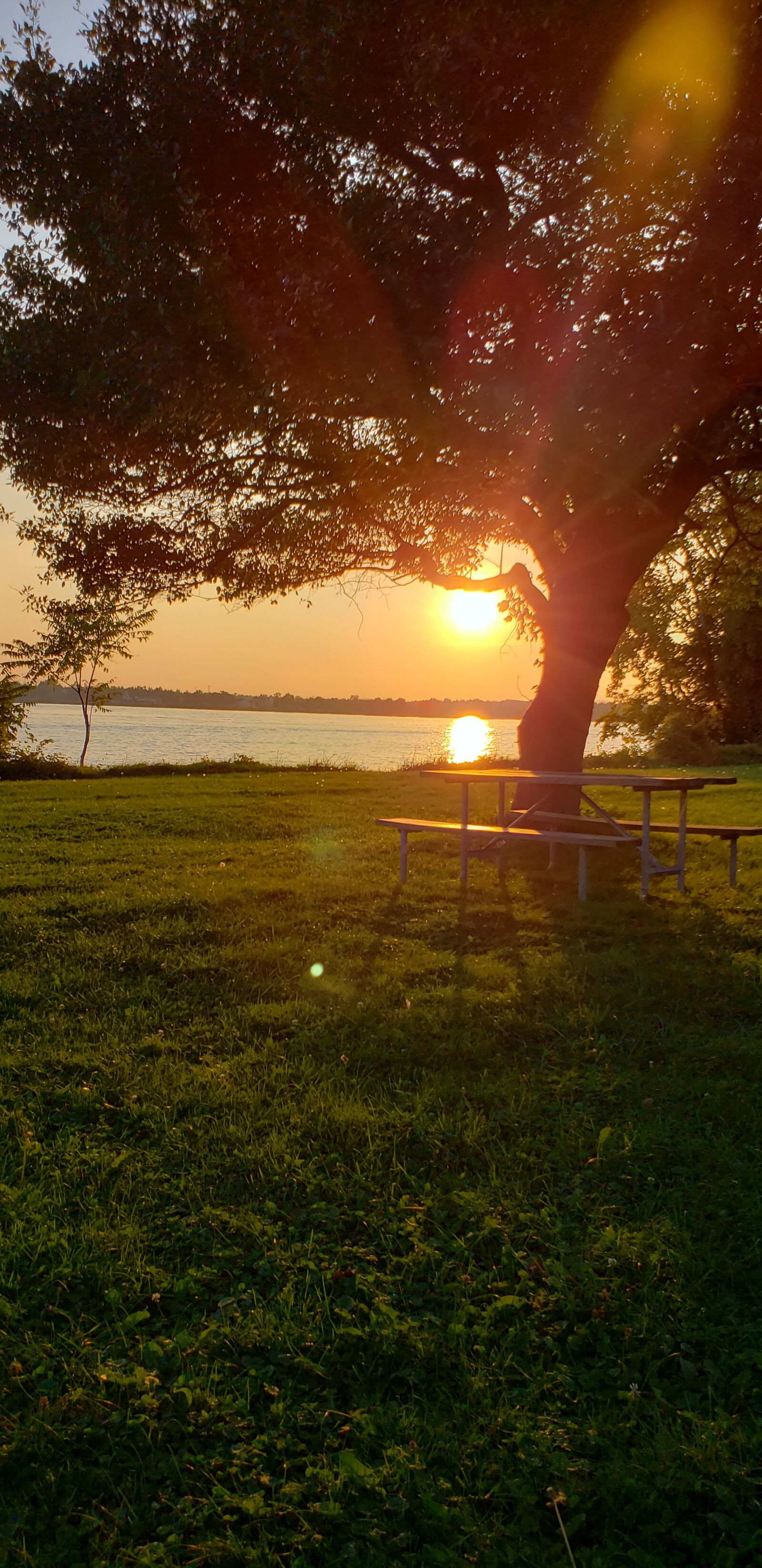 Samsung Galaxy S9+ sample photo. Sunset, river, picnic bench photography