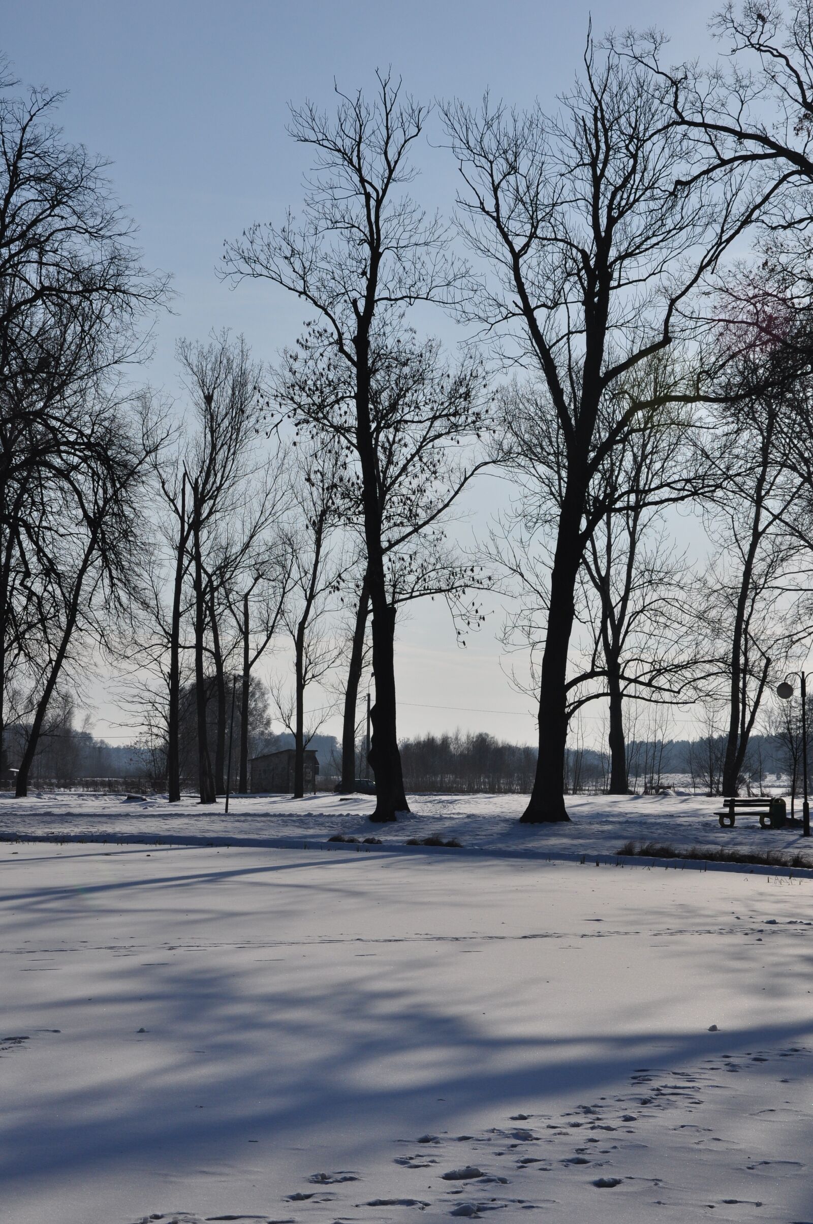 Nikon D90 sample photo. Winter, snow, landscape photography