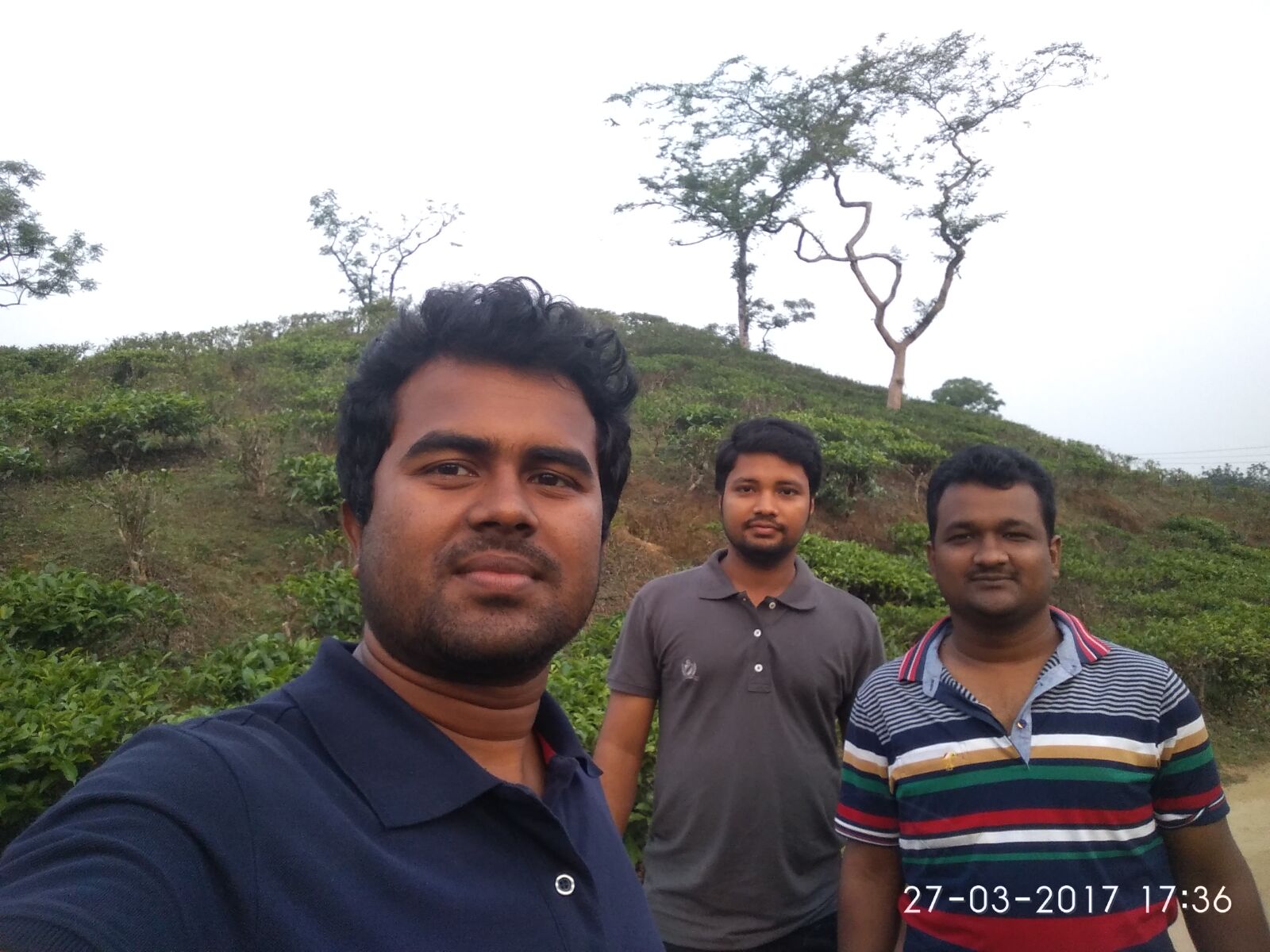 Xiaomi Redmi 3S sample photo