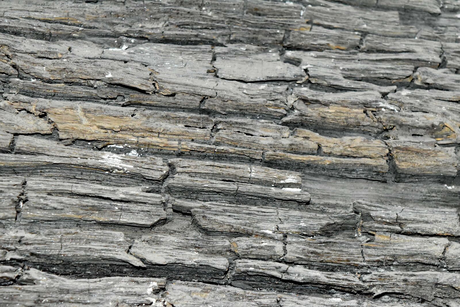 Nikon D5500 sample photo. Old, rough, texture, wood photography