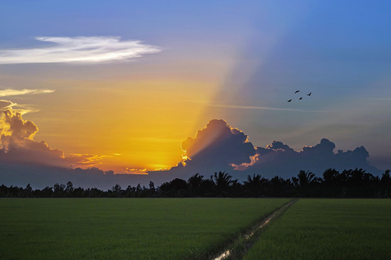 Tamron SP AF 17-50mm F2.8 XR Di II LD Aspherical (IF) sample photo. Sunset, light, field photography