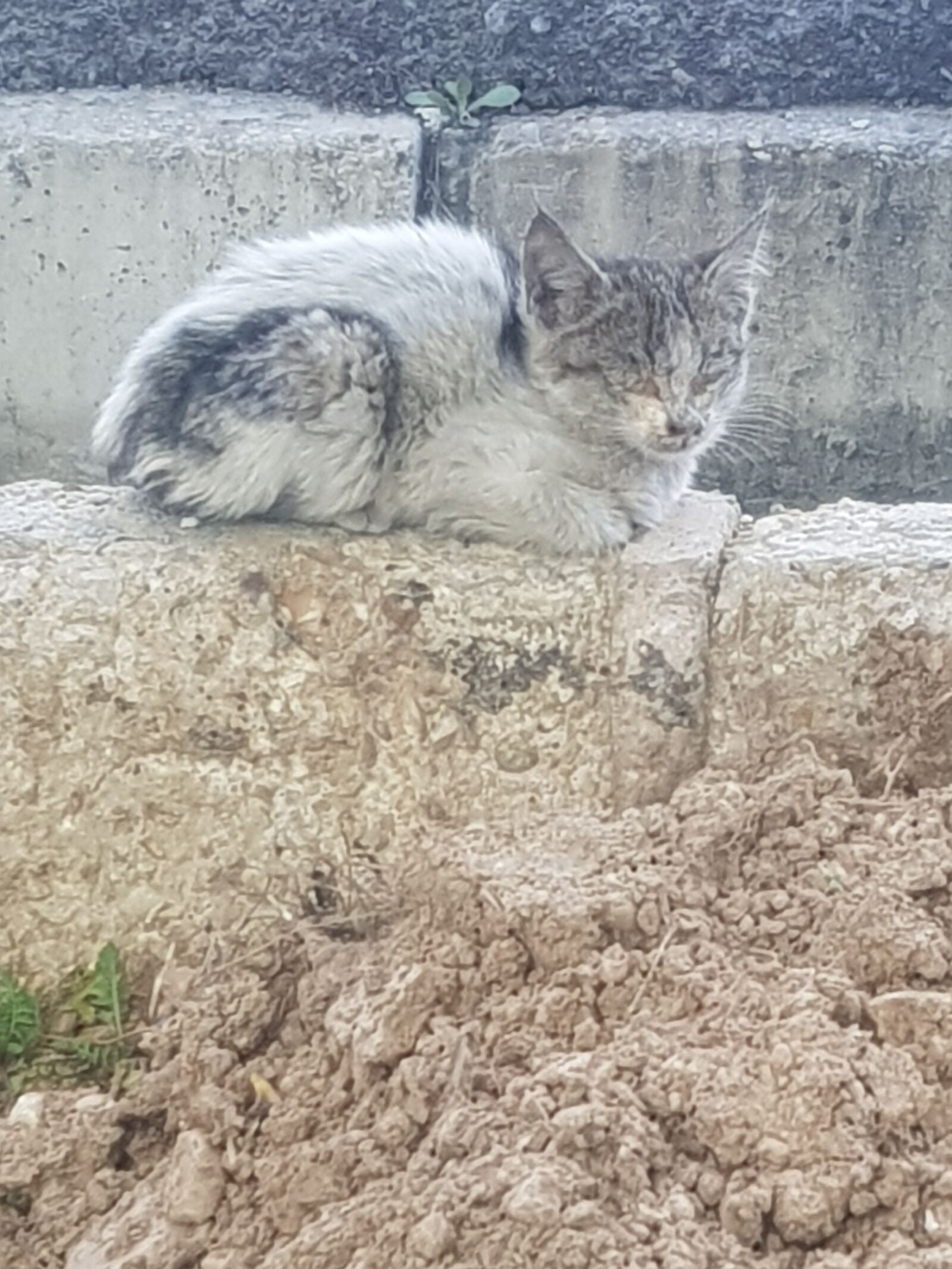 Samsung Galaxy S8 sample photo. Stock, exchange, iran photography