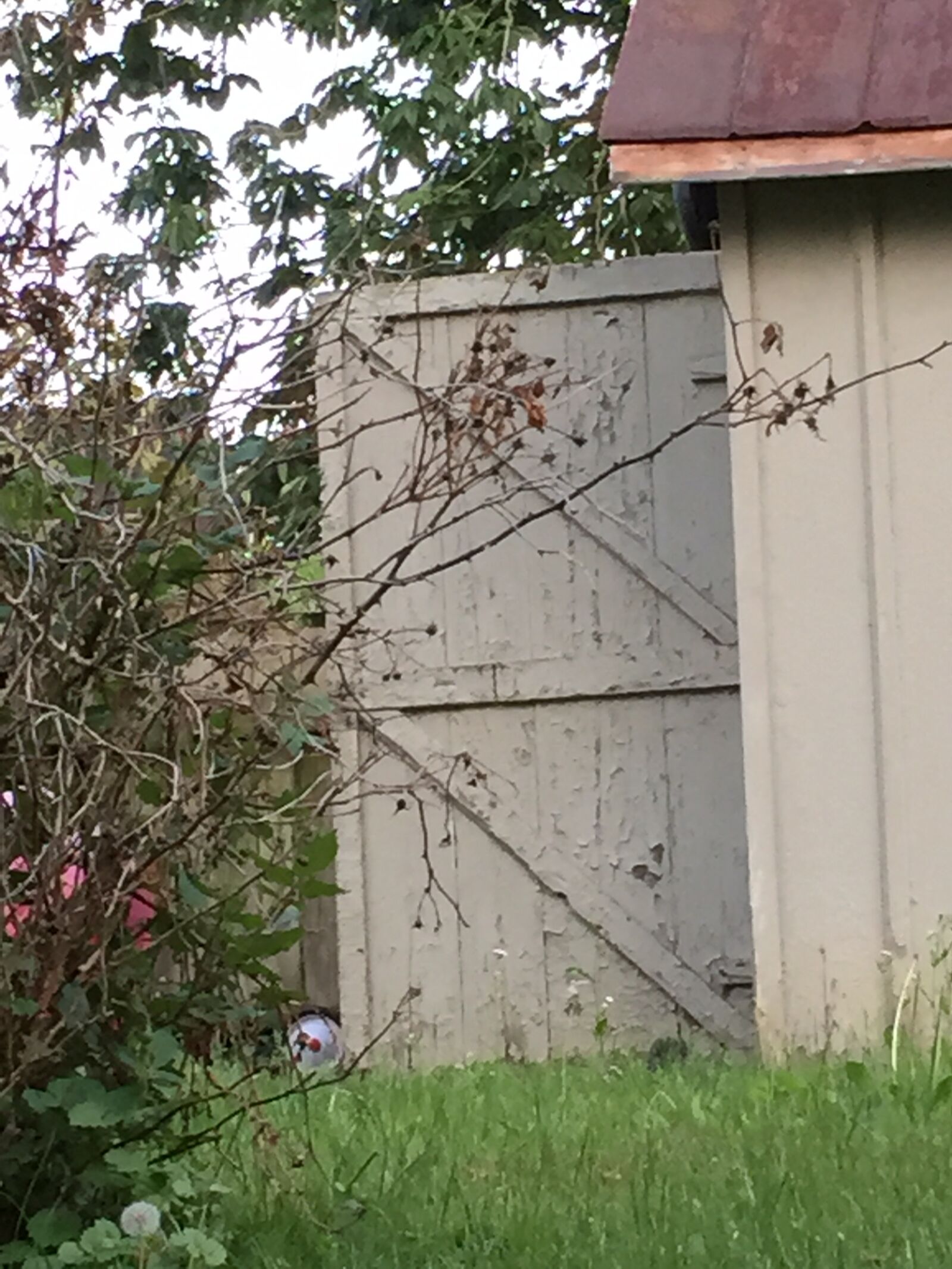 Apple iPhone 6 sample photo. Barn, door, chipped, paint photography