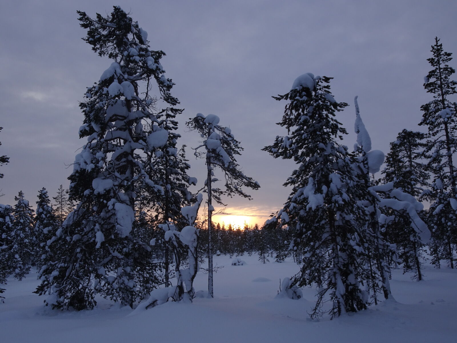 Sony DSC-HX90 sample photo. Finland, winter, winter, landscape photography