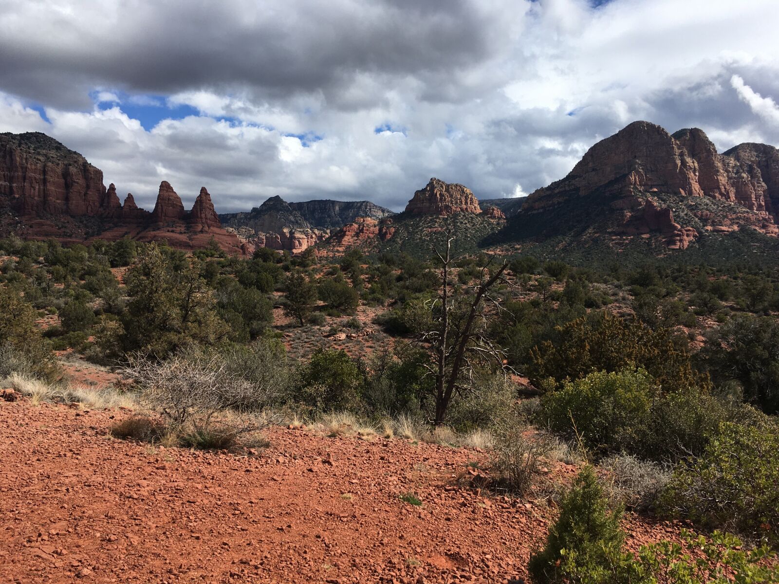 iPhone SE back camera 4.15mm f/2.2 sample photo. Sedona, arizona, desert photography