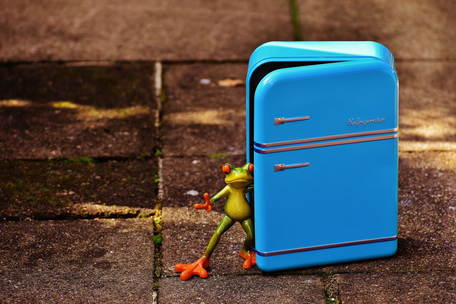 Nikon D7200 sample photo. Frog, refrigerator, blue photography