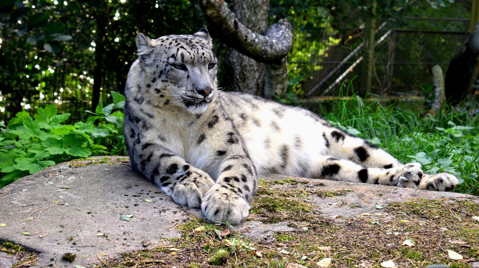 Nikon D3300 sample photo. Korkeasaari zoo, zoo finland photography