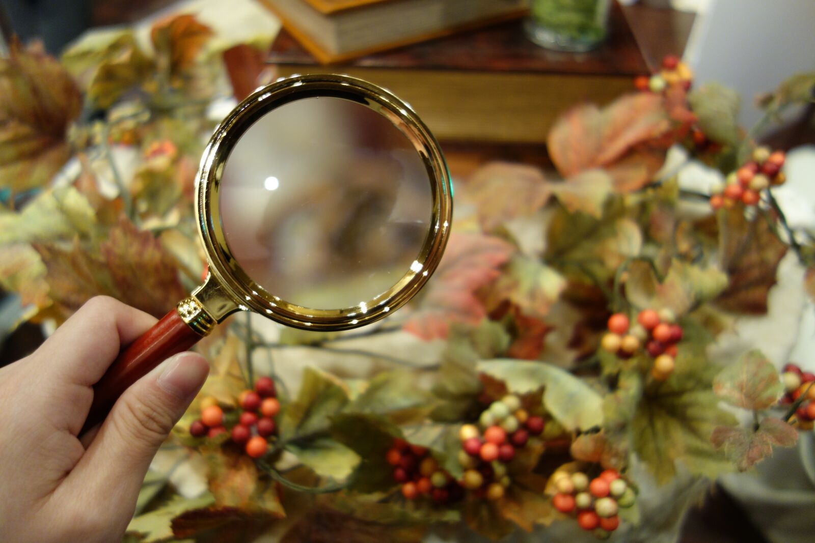 Sony Cyber-shot DSC-RX100 sample photo. Mystery, magnifying glass, autumn photography