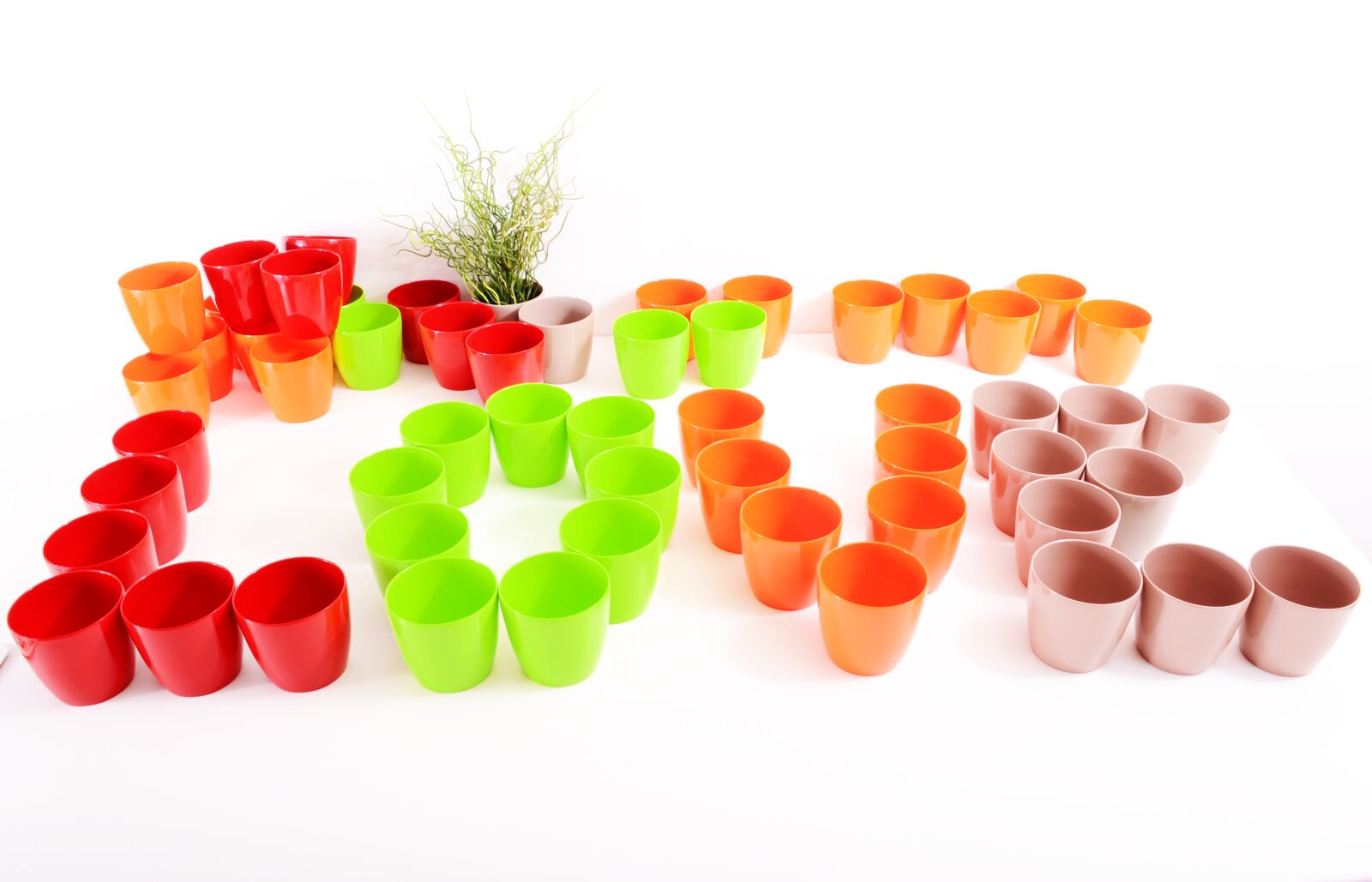 Nikon D3100 sample photo. Plants, flowerpots, color photography