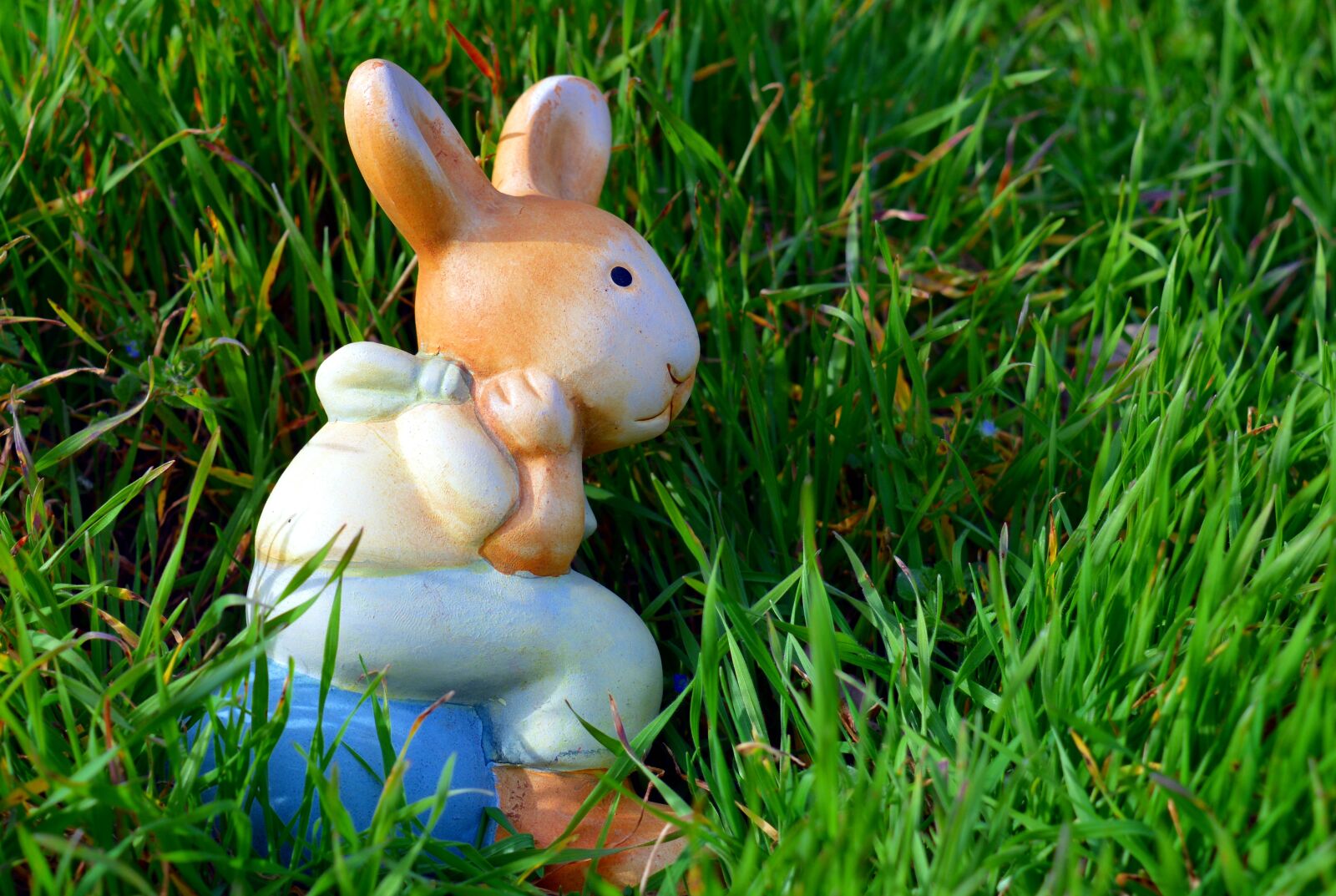 Nikon D3200 sample photo. Hare, easter bunny, easter photography