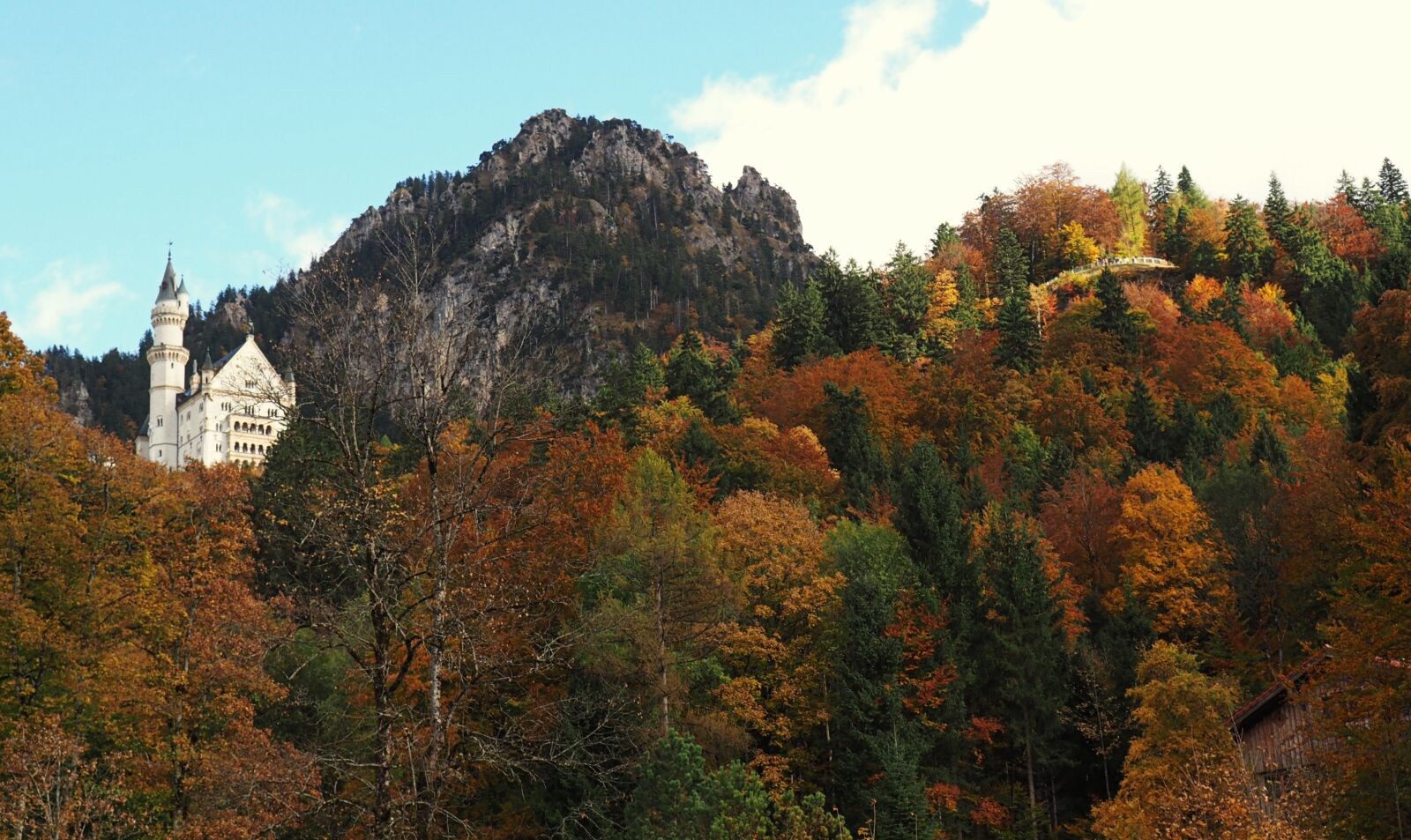 Olympus OM-D E-M10 sample photo. Forest, castle, fall photography
