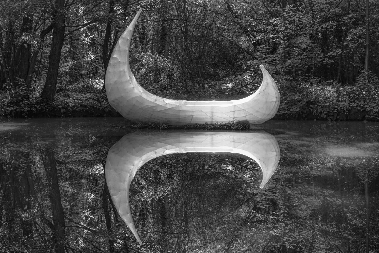 Nikon D810 sample photo. Canoe, forest, monochrome, reflection photography
